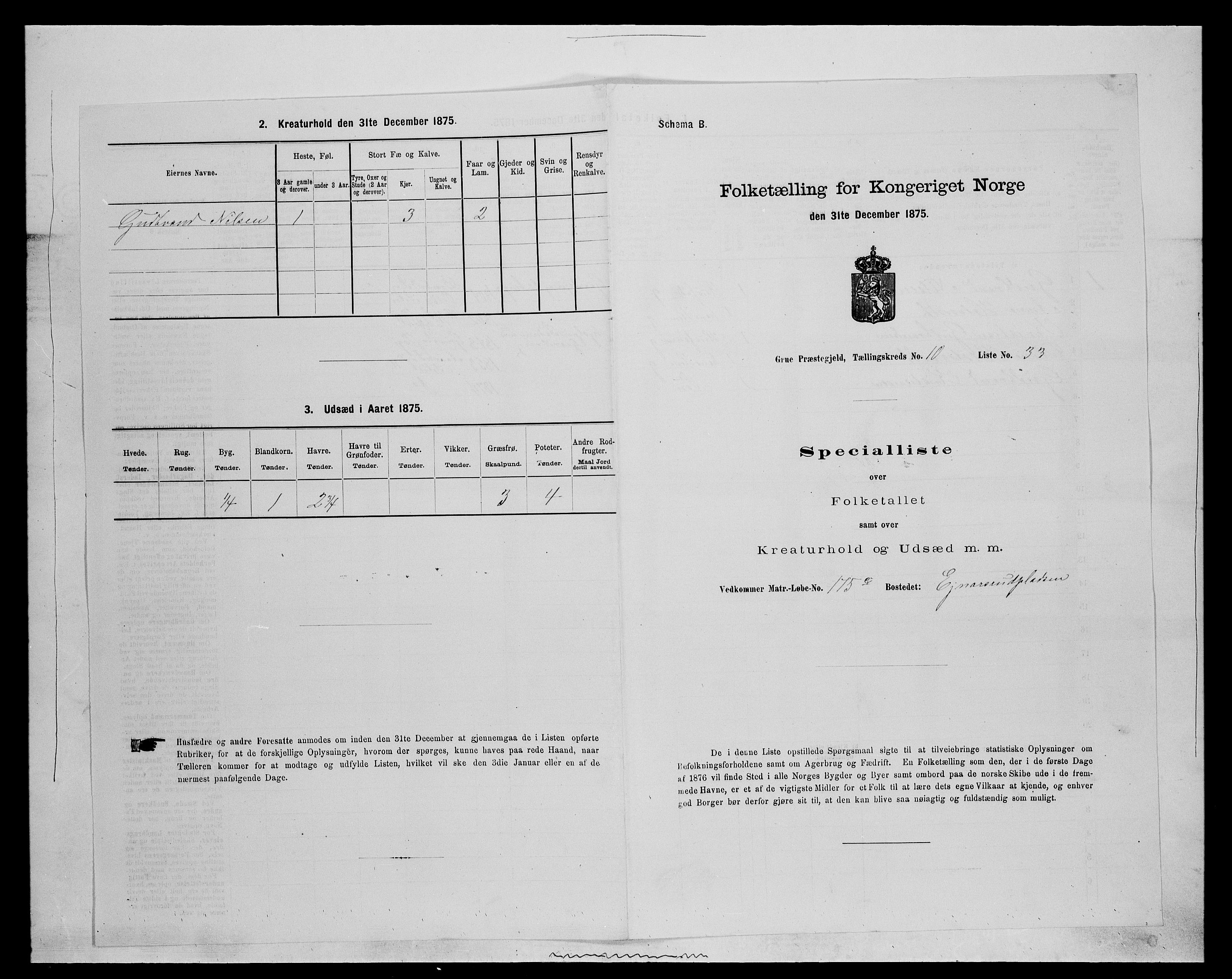 SAH, Folketelling 1875 for 0423P Grue prestegjeld, 1875, s. 1889