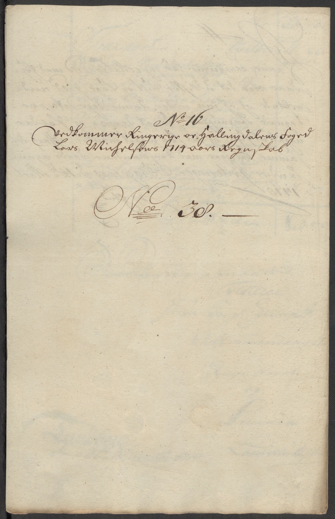 Rentekammeret inntil 1814, Reviderte regnskaper, Fogderegnskap, AV/RA-EA-4092/R23/L1471: Fogderegnskap Ringerike og Hallingdal, 1713-1714, s. 492