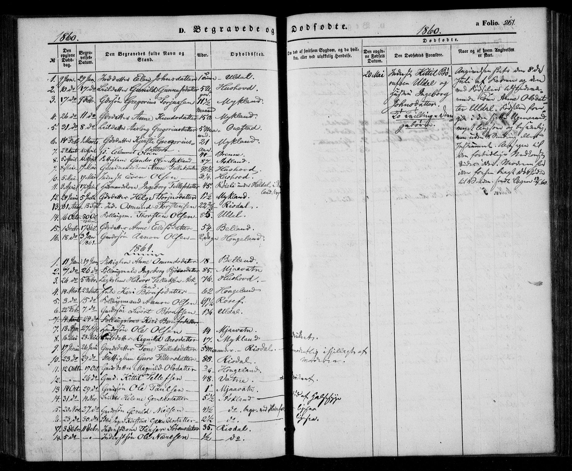 Åmli sokneprestkontor, AV/SAK-1111-0050/F/Fa/Fac/L0008: Ministerialbok nr. A 8, 1852-1869, s. 251