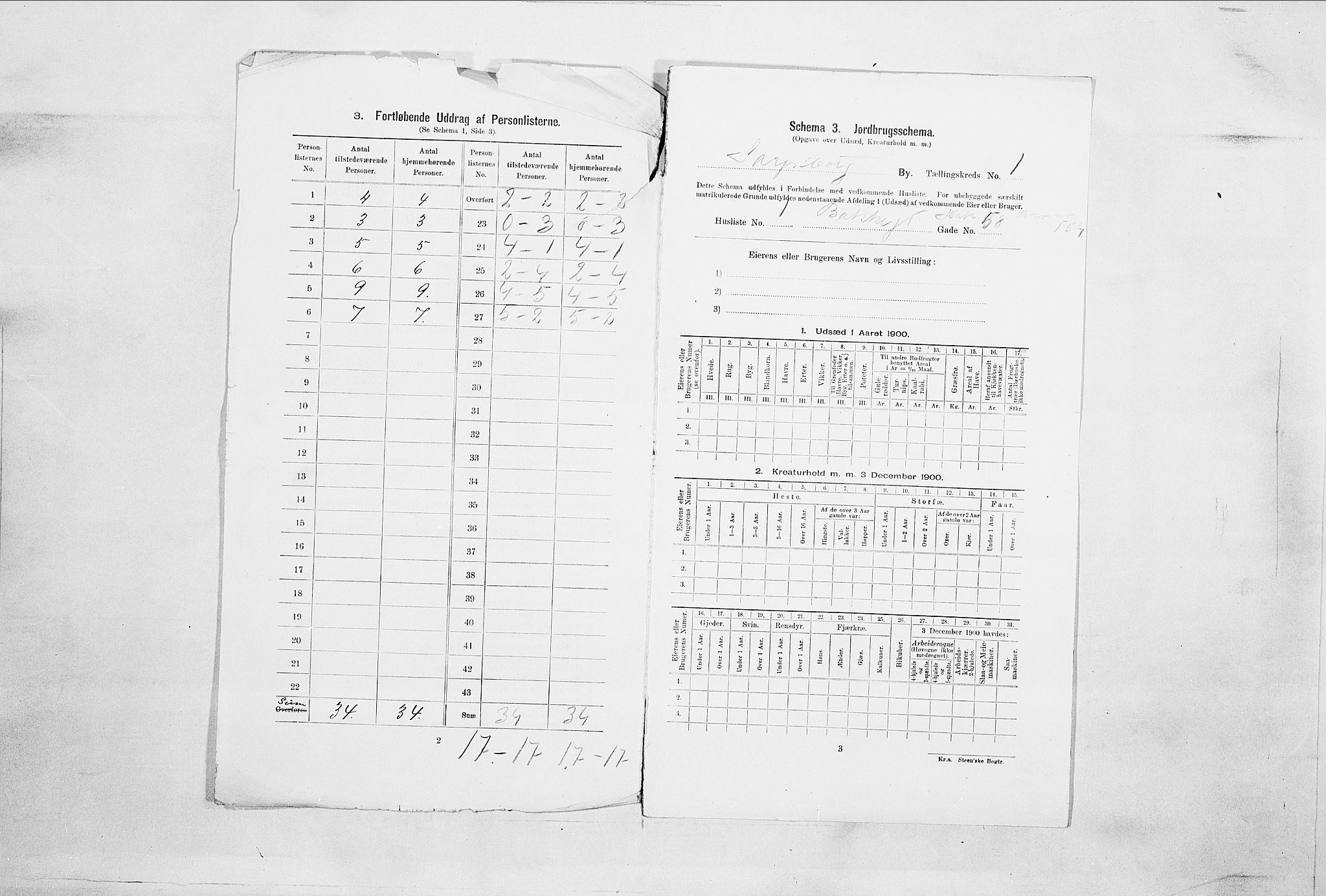 SAO, Folketelling 1900 for 0102 Sarpsborg kjøpstad, 1900