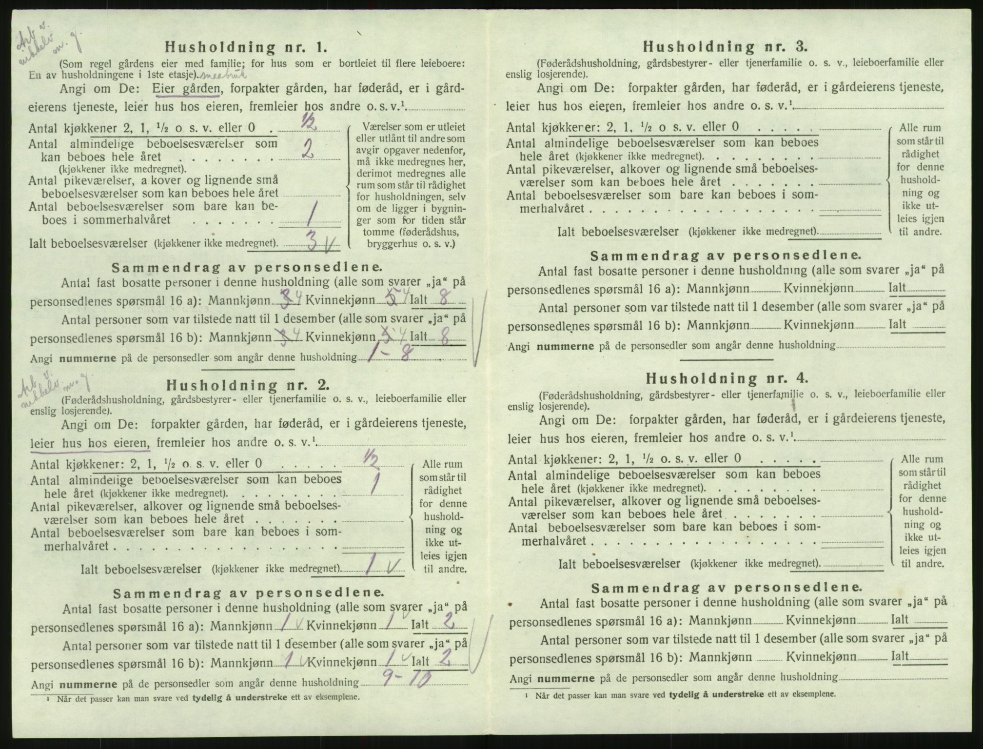 SAK, Folketelling 1920 for 0936 Hornnes herred, 1920, s. 142