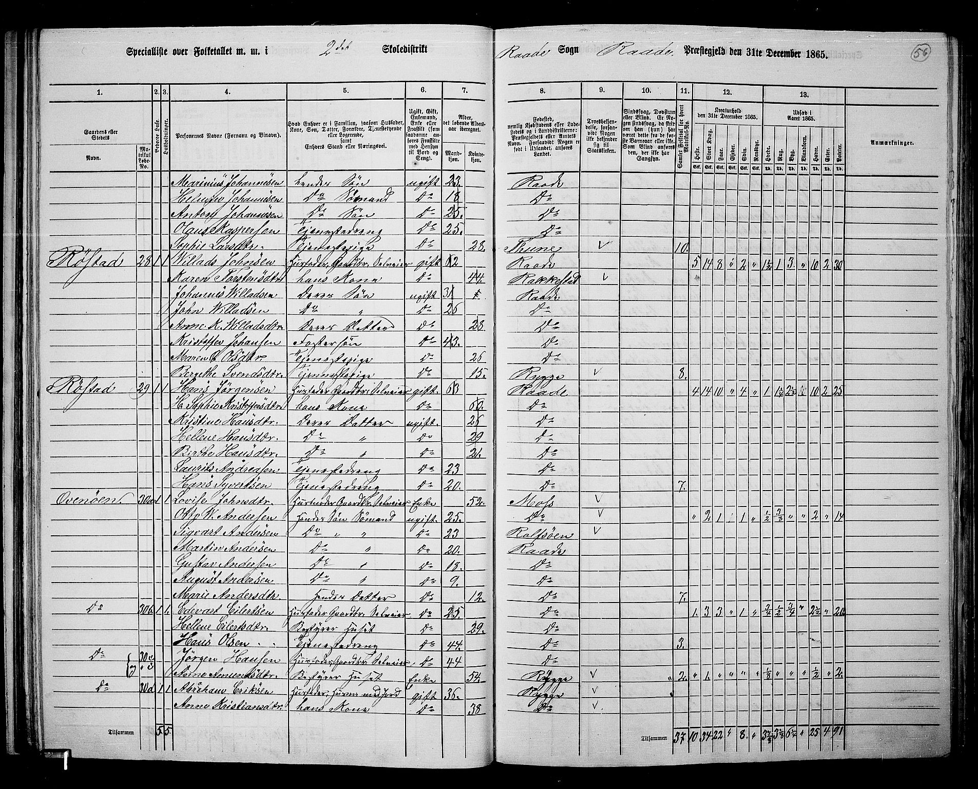 RA, Folketelling 1865 for 0135P Råde prestegjeld, 1865, s. 50
