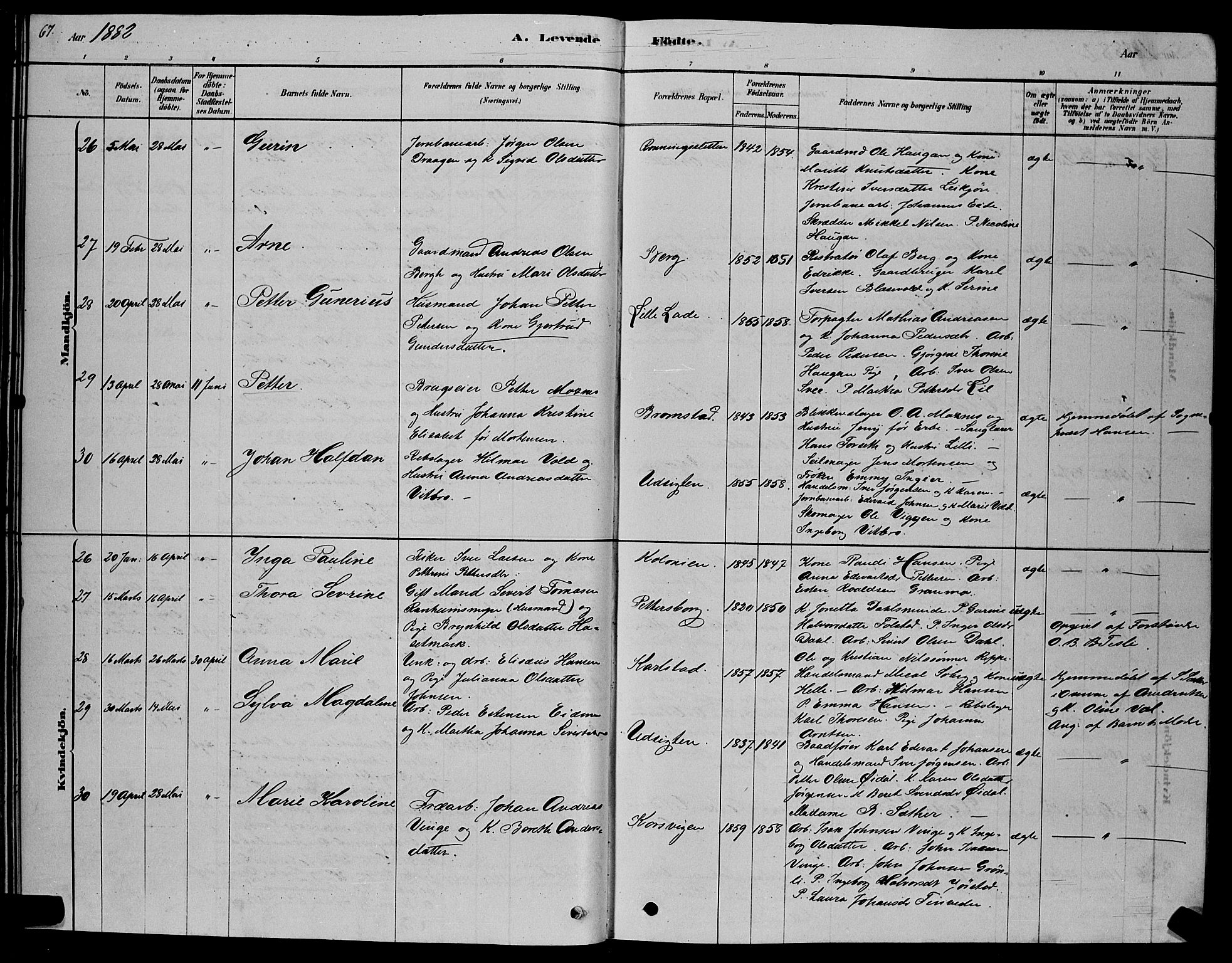 Ministerialprotokoller, klokkerbøker og fødselsregistre - Sør-Trøndelag, SAT/A-1456/606/L0312: Klokkerbok nr. 606C08, 1878-1894, s. 67