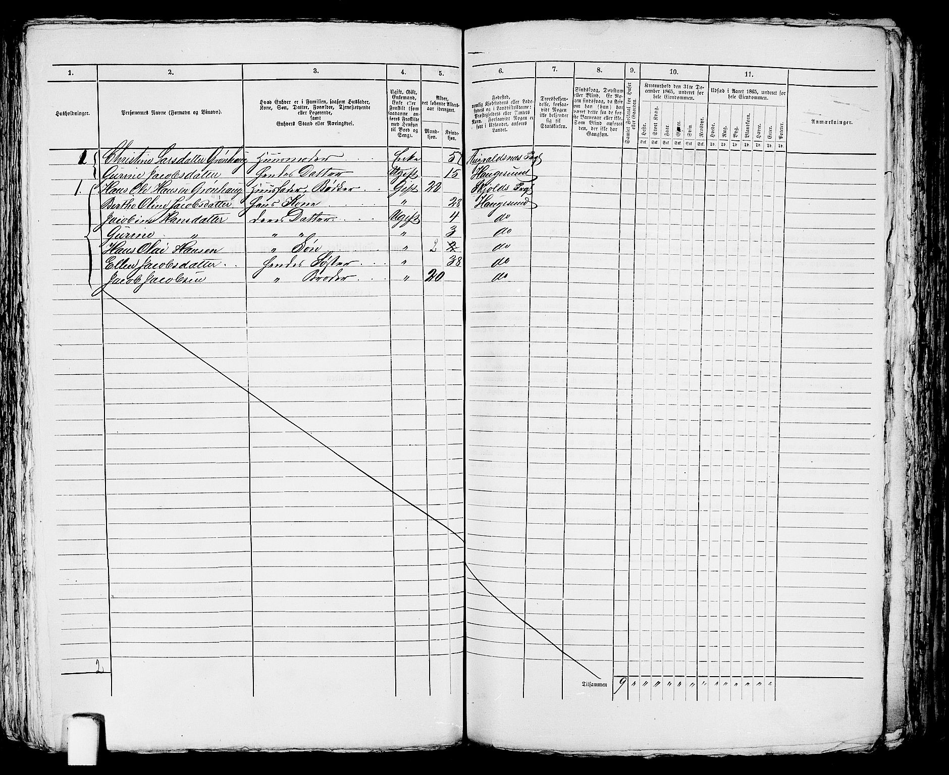 RA, Folketelling 1865 for 1106B Torvastad prestegjeld, Haugesund ladested, 1865, s. 373