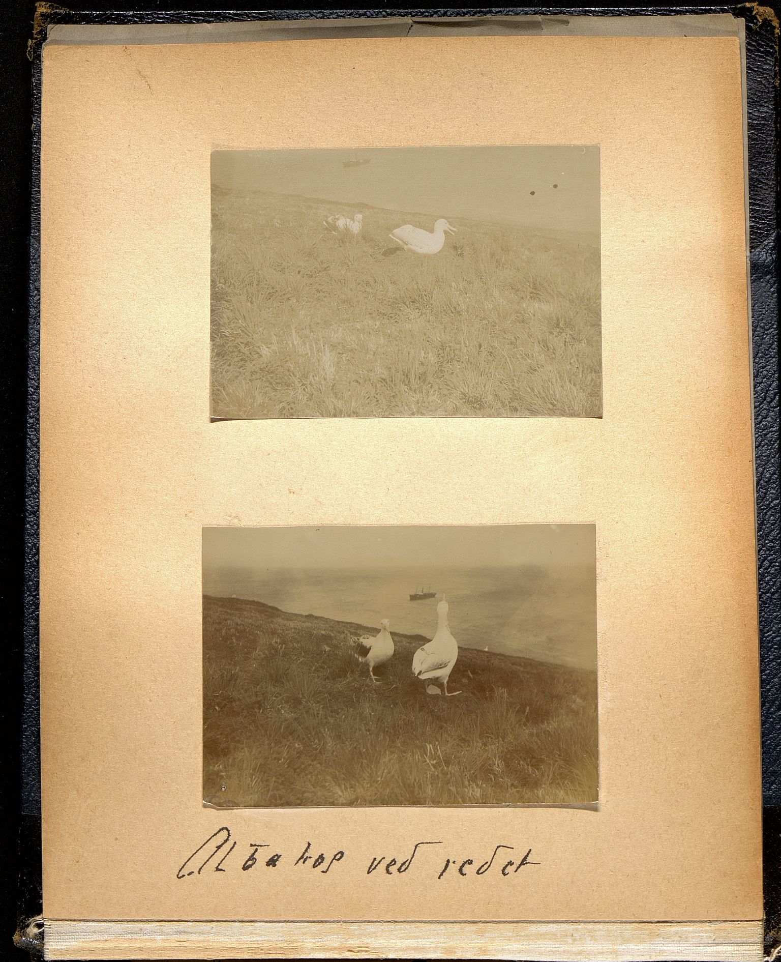 Pa 1003 - Harboe - Ree, Anders, VEMU/A-2160/U/L0001: Fotoalbum fra Crozet, 1906