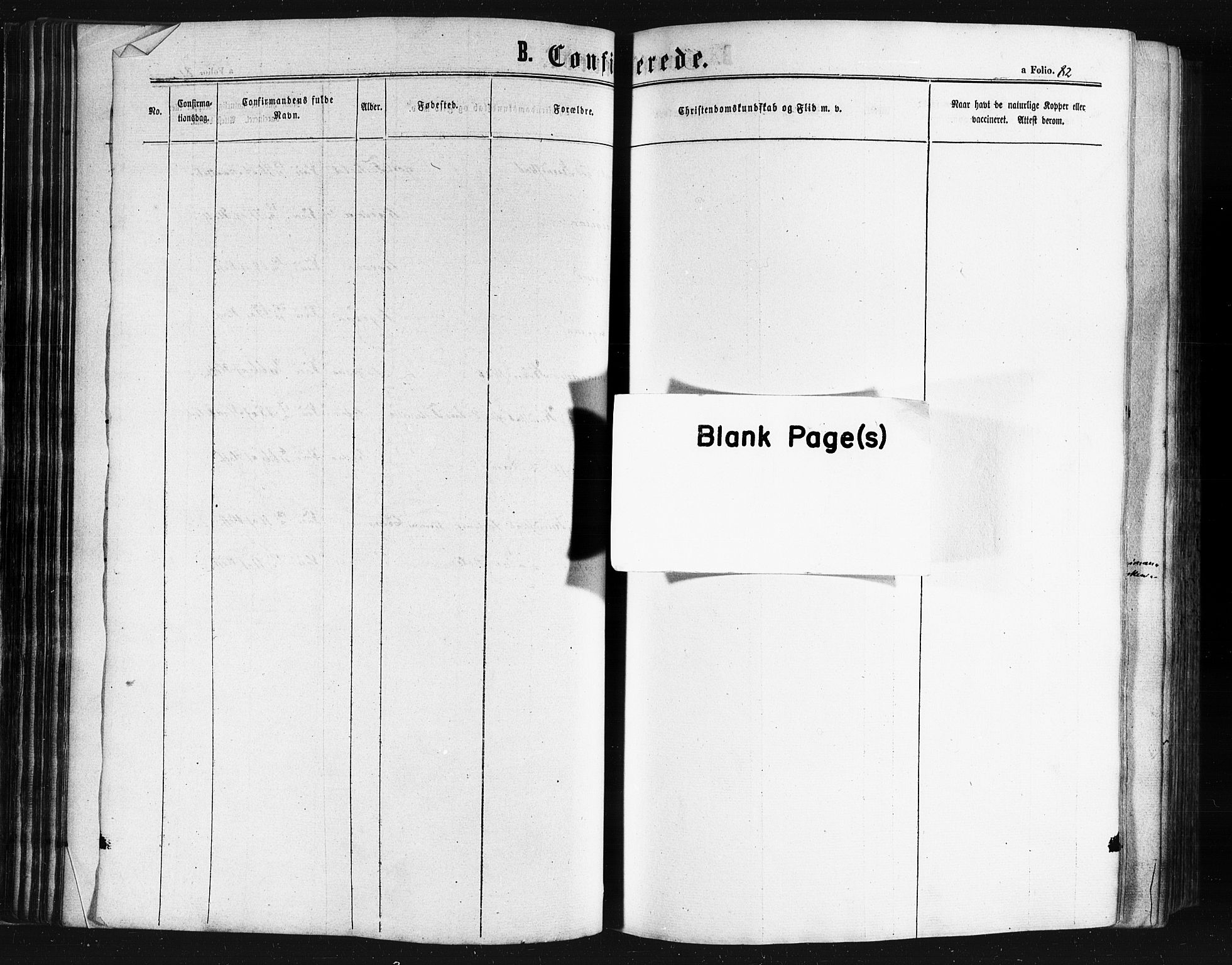 Ministerialprotokoller, klokkerbøker og fødselsregistre - Nordland, AV/SAT-A-1459/841/L0607: Ministerialbok nr. 841A11 /2, 1863-1877, s. 82