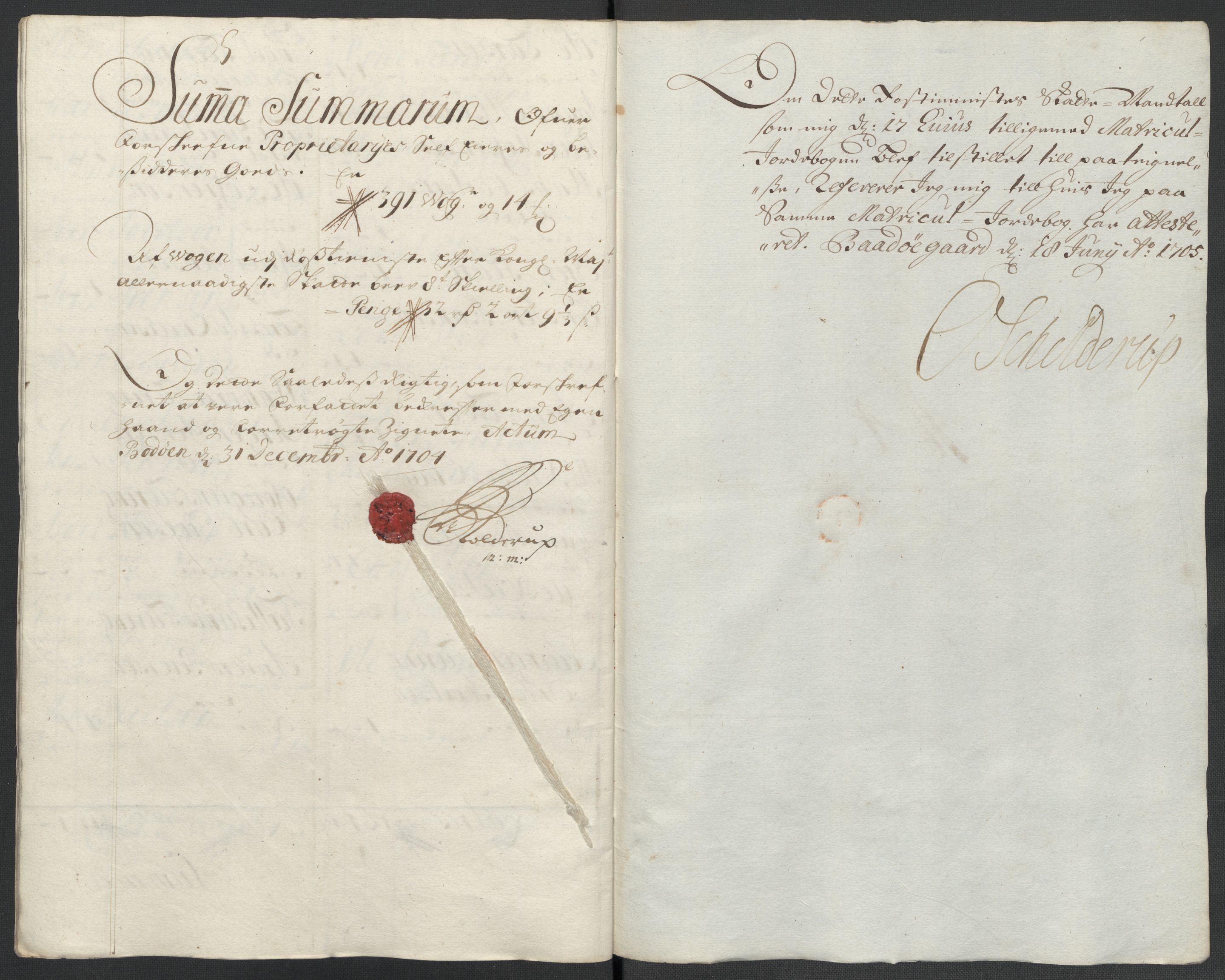 Rentekammeret inntil 1814, Reviderte regnskaper, Fogderegnskap, RA/EA-4092/R66/L4580: Fogderegnskap Salten, 1701-1706, s. 290