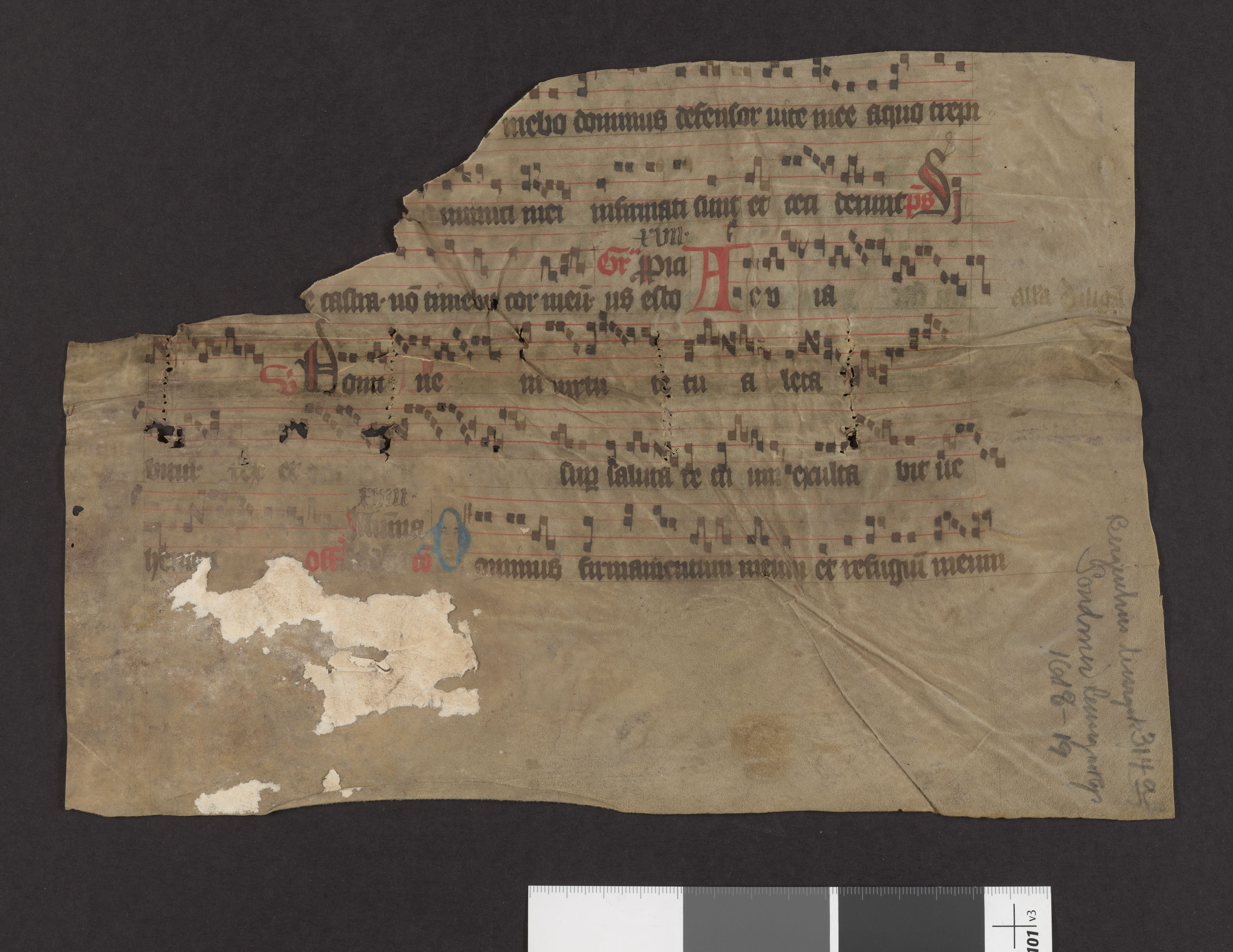 Riksarkivets diplomsamling, AV/RA-EA-5965/F27/F27A/F27Ab/L0002: Latinske fragmenter stort format, 1100-1536, s. 51