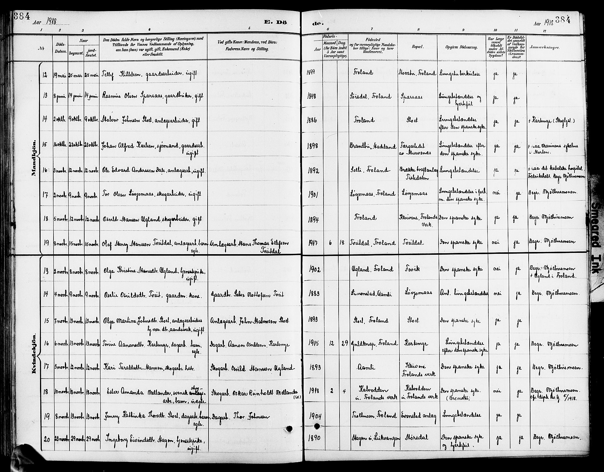 Froland sokneprestkontor, AV/SAK-1111-0013/F/Fb/L0010: Klokkerbok nr. B 10, 1893-1920, s. 384