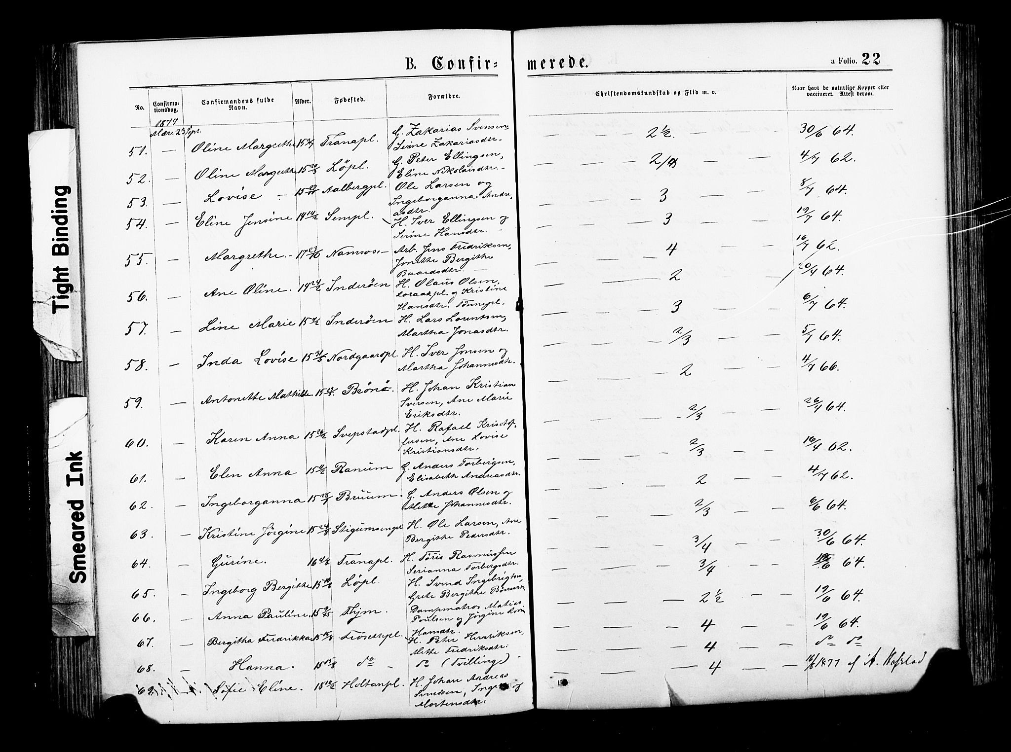 Ministerialprotokoller, klokkerbøker og fødselsregistre - Nord-Trøndelag, SAT/A-1458/735/L0348: Ministerialbok nr. 735A09 /1, 1873-1883, s. 22