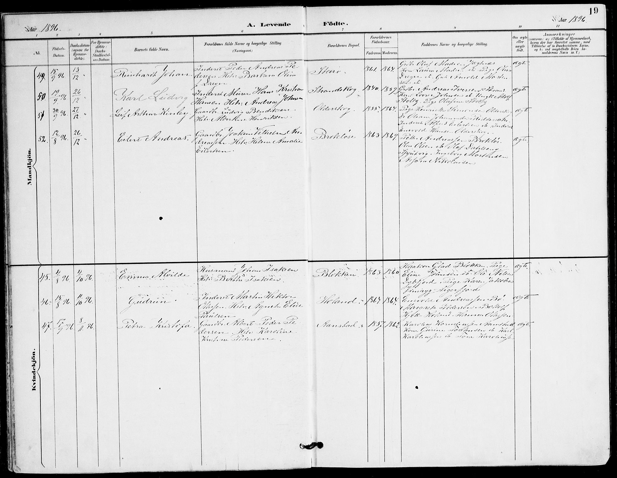 Ministerialprotokoller, klokkerbøker og fødselsregistre - Nordland, AV/SAT-A-1459/895/L1372: Ministerialbok nr. 895A07, 1894-1914, s. 19