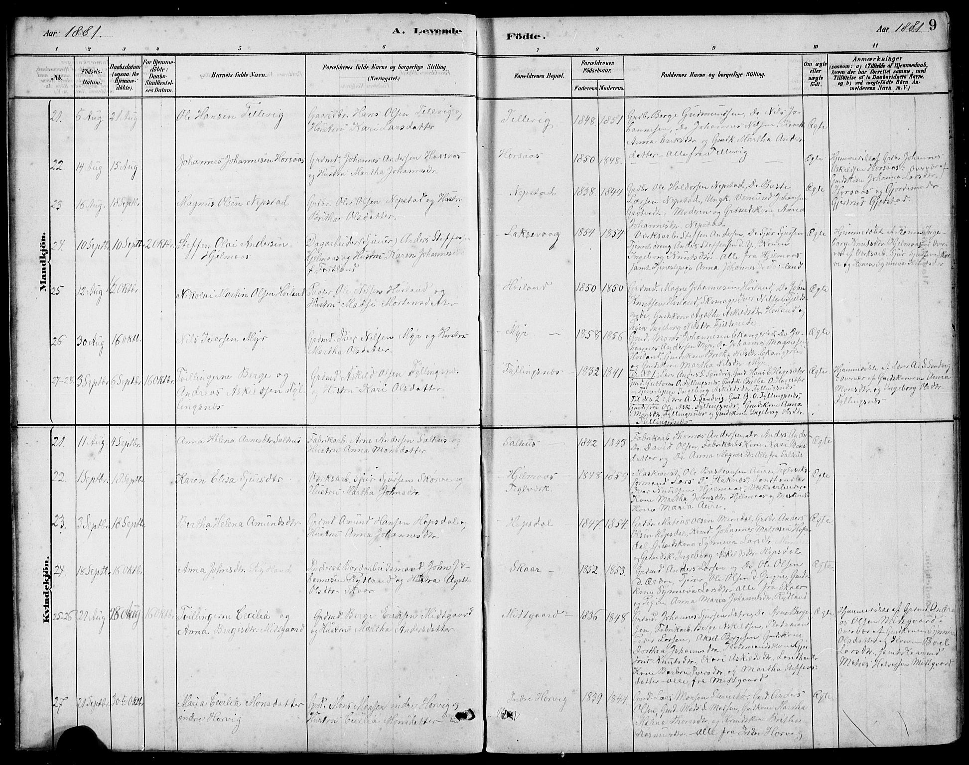 Hamre sokneprestembete, AV/SAB-A-75501/H/Ha/Hab: Klokkerbok nr. B 3, 1881-1898, s. 9