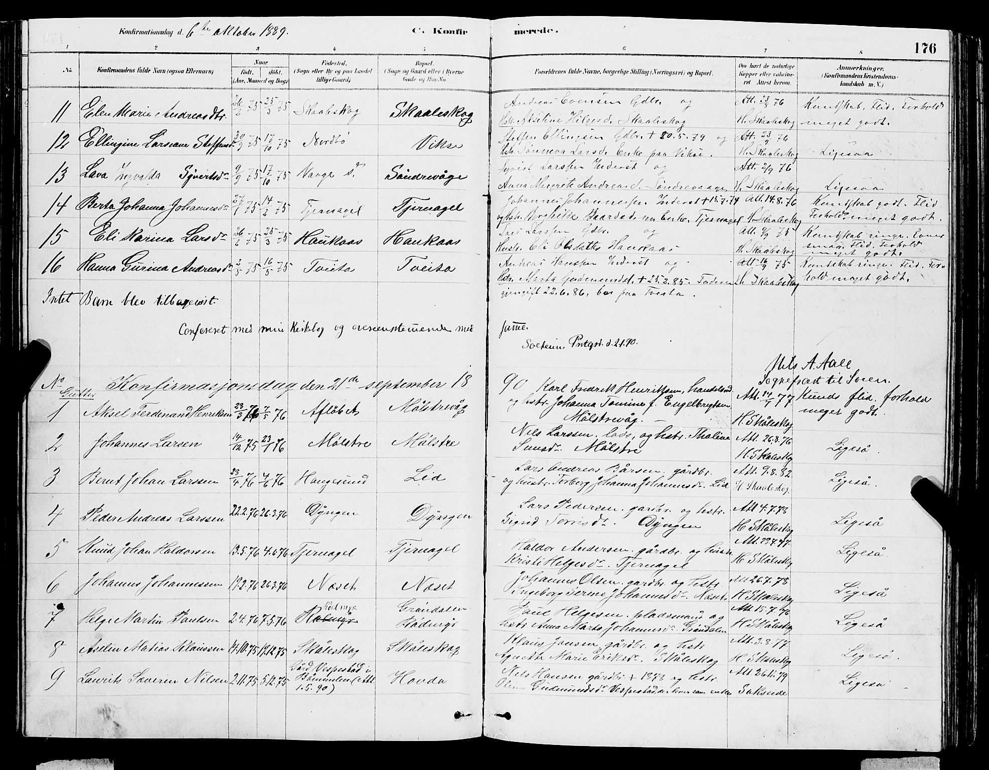 Sveio Sokneprestembete, AV/SAB-A-78501/H/Hab: Klokkerbok nr. A 3, 1878-1896, s. 176