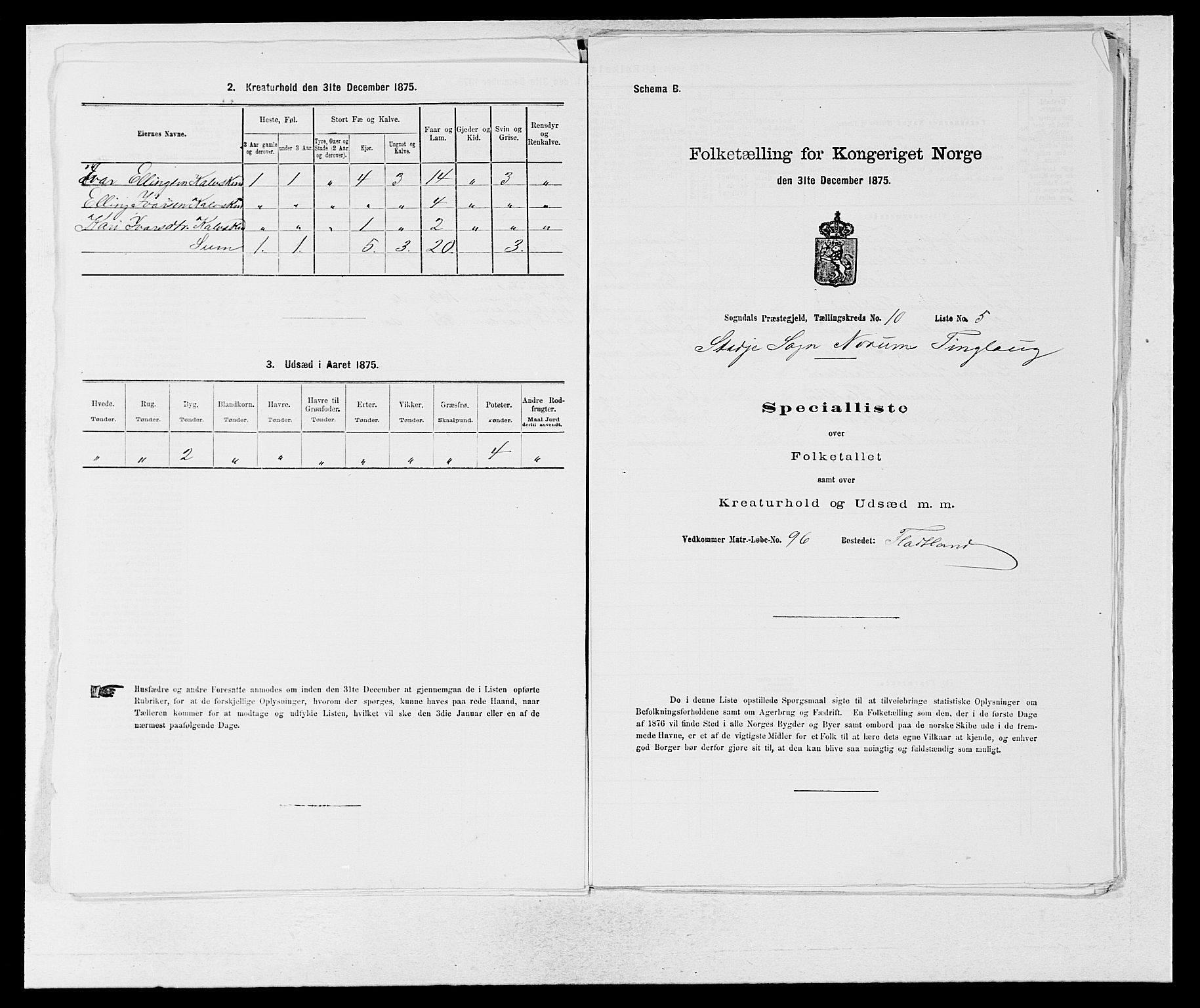 SAB, Folketelling 1875 for 1420P Sogndal prestegjeld, 1875, s. 896