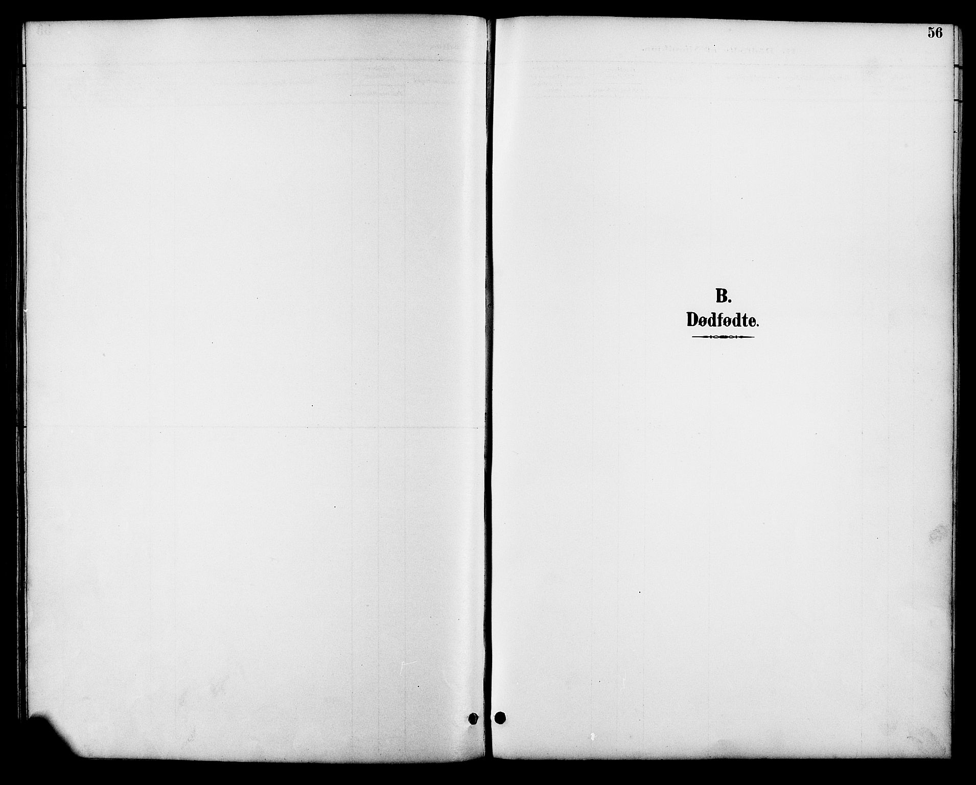 Åmli sokneprestkontor, SAK/1111-0050/F/Fb/Fbb/L0002: Klokkerbok nr. B 2, 1890-1905, s. 56