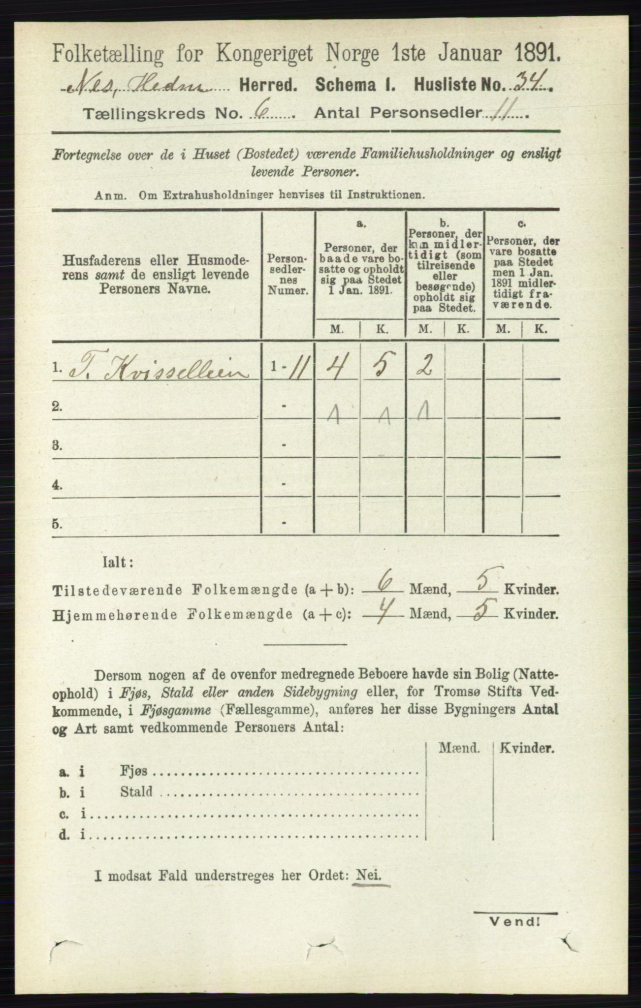 RA, Folketelling 1891 for 0411 Nes herred, 1891, s. 3202