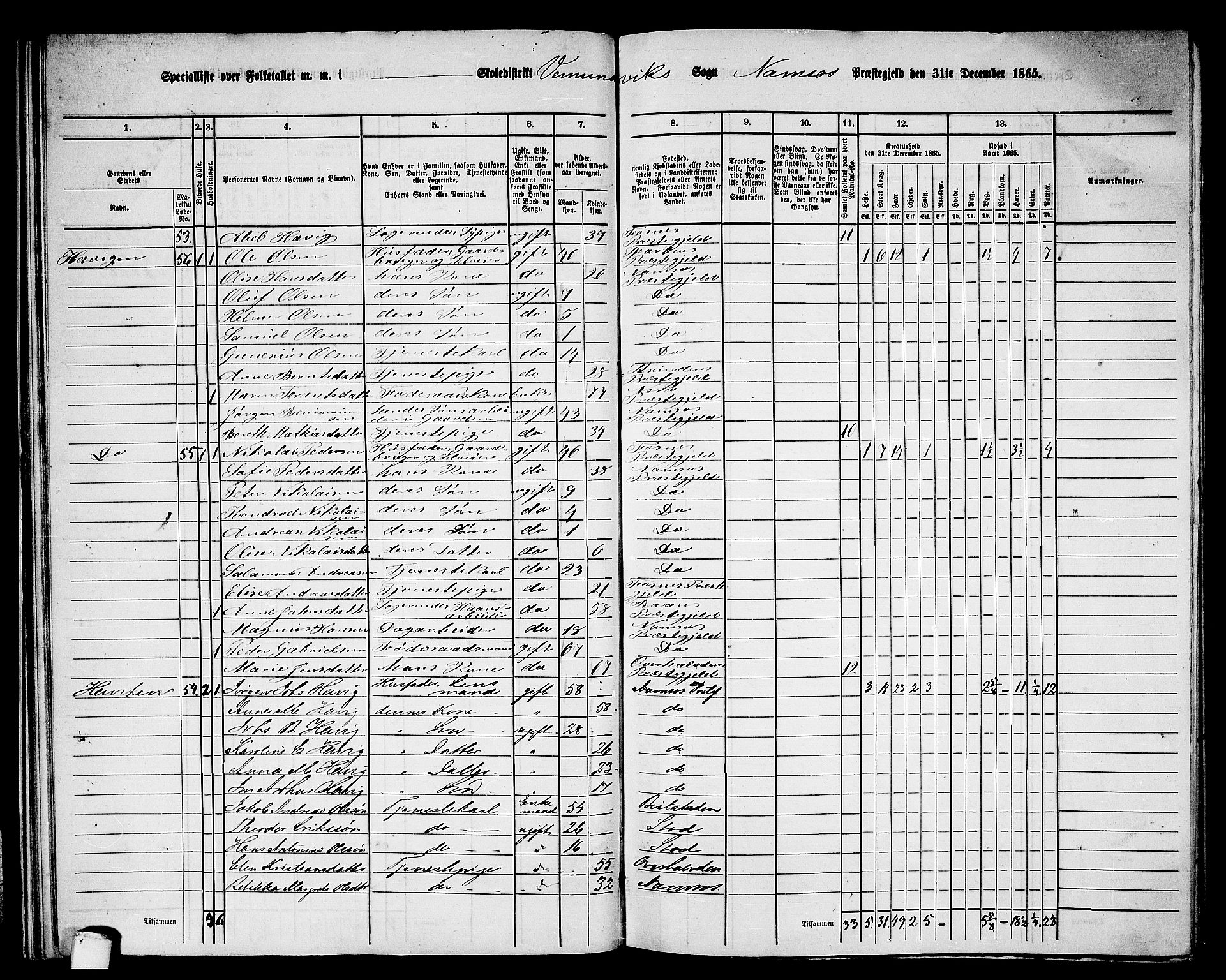 RA, Folketelling 1865 for 1745L Namsos prestegjeld, Vemundvik sokn og Sævik sokn, 1865, s. 37