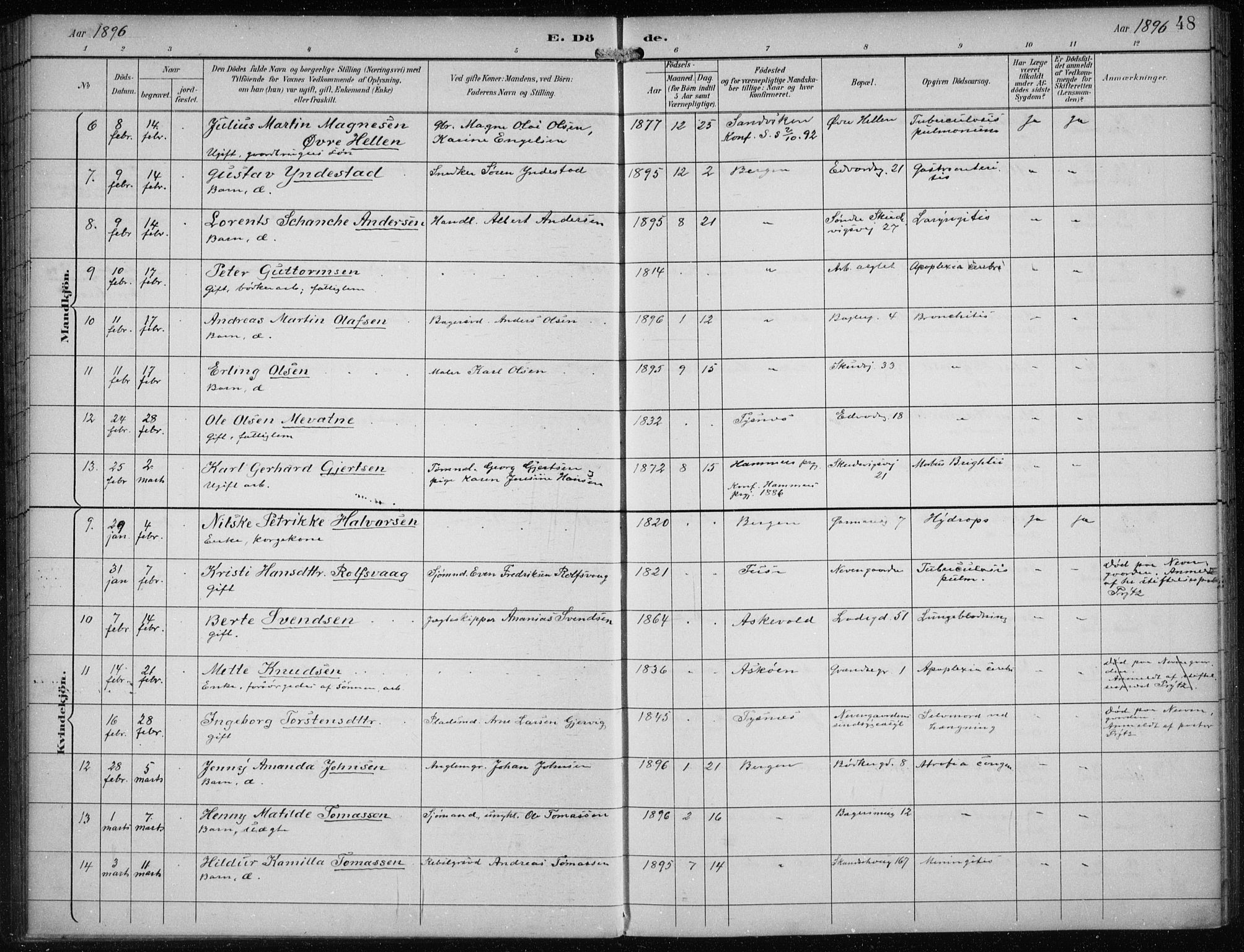 Sandviken Sokneprestembete, AV/SAB-A-77601/H/Ha/L0018: Ministerialbok nr. E 1, 1893-1905, s. 48