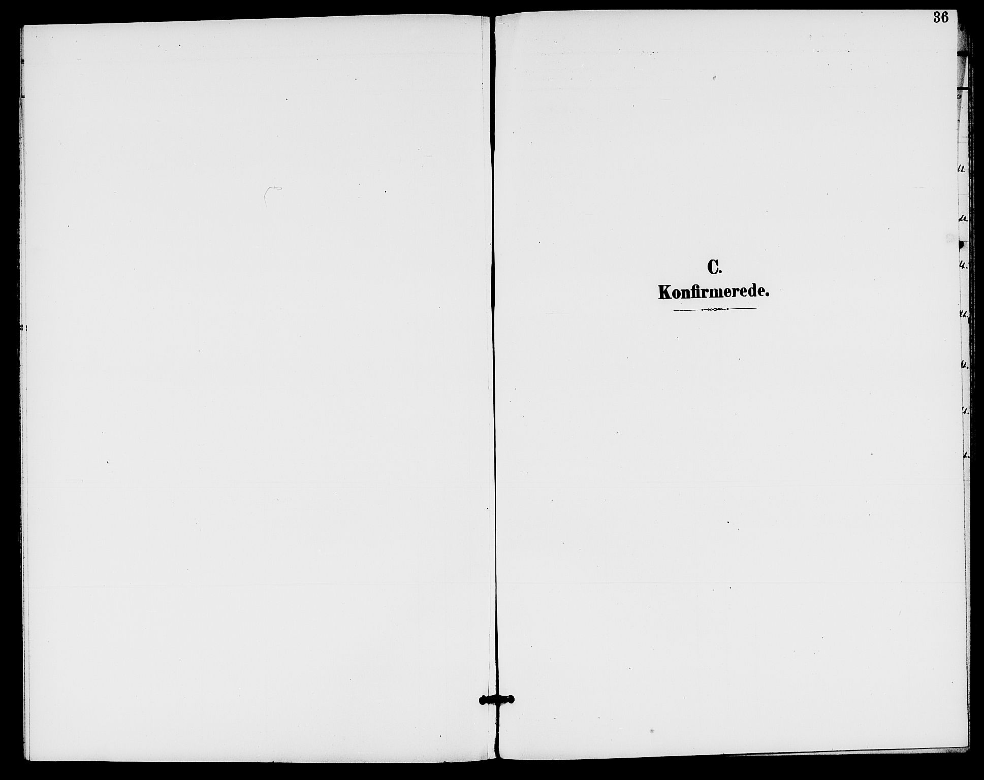 Rødenes prestekontor Kirkebøker, AV/SAO-A-2005/G/Gb/L0001: Klokkerbok nr. II 1, 1901-1910, s. 36