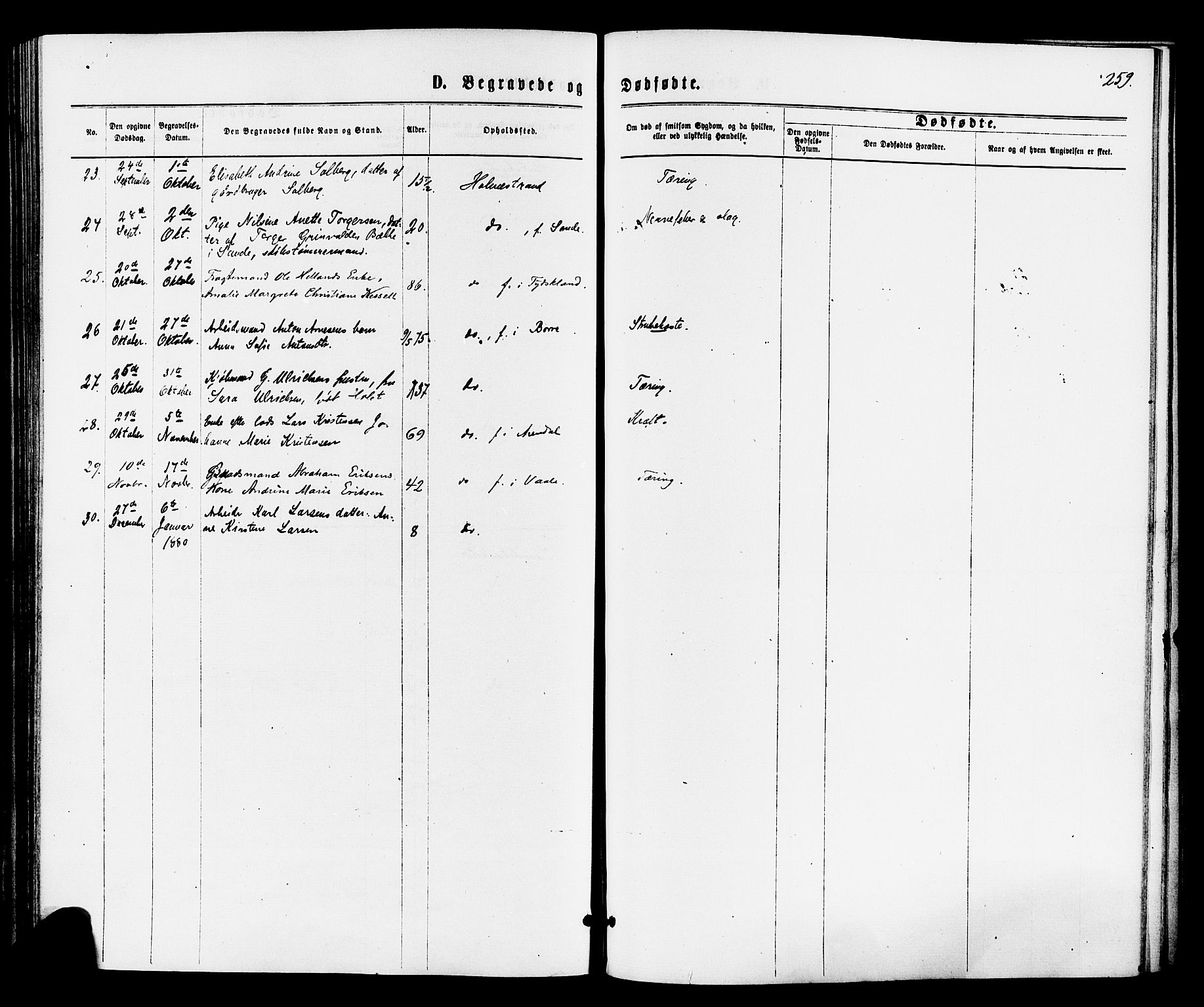 Holmestrand kirkebøker, AV/SAKO-A-346/F/Fa/L0003: Ministerialbok nr. 3, 1867-1879, s. 259