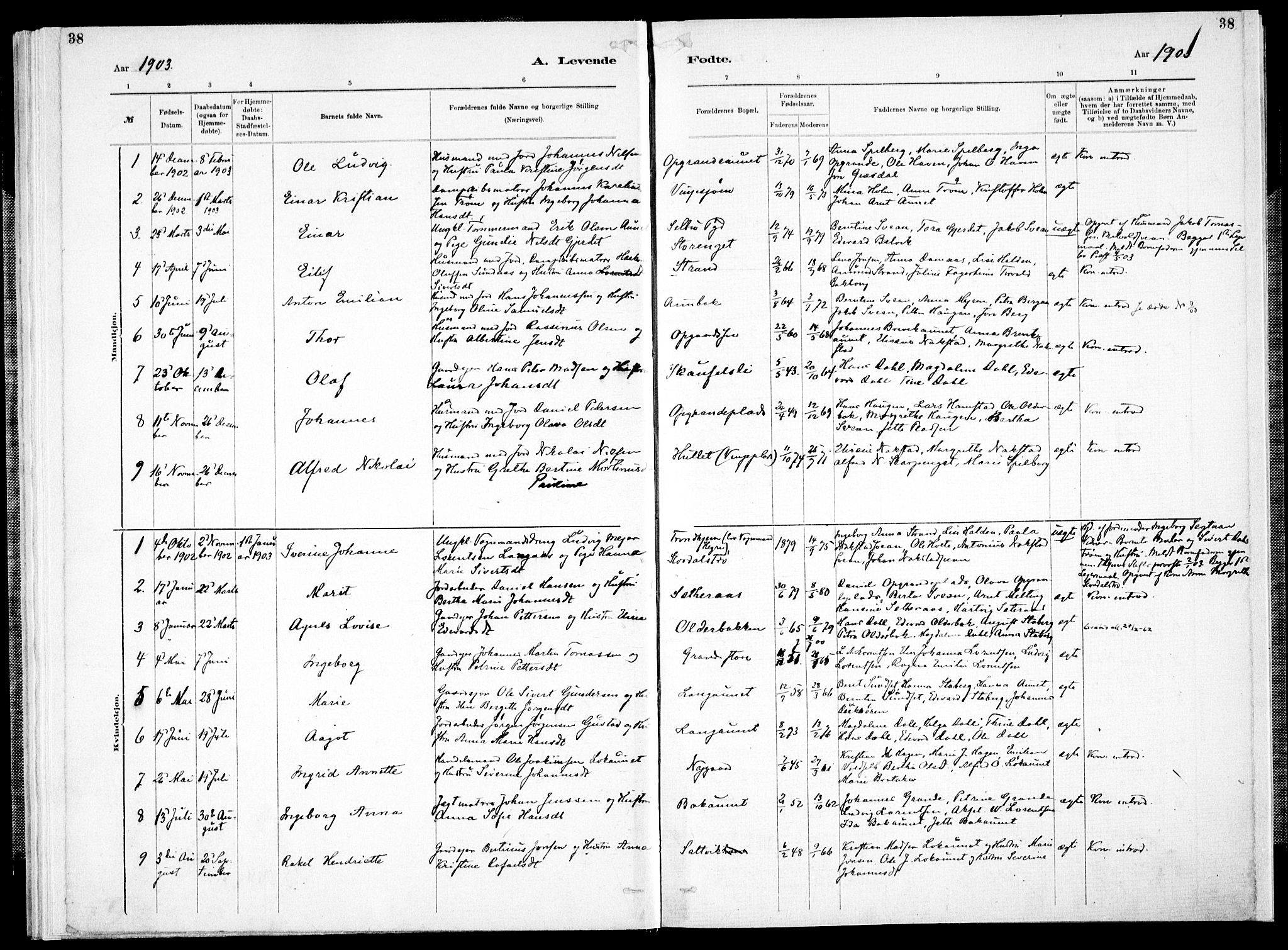 Ministerialprotokoller, klokkerbøker og fødselsregistre - Nord-Trøndelag, AV/SAT-A-1458/733/L0325: Ministerialbok nr. 733A04, 1884-1908, s. 38