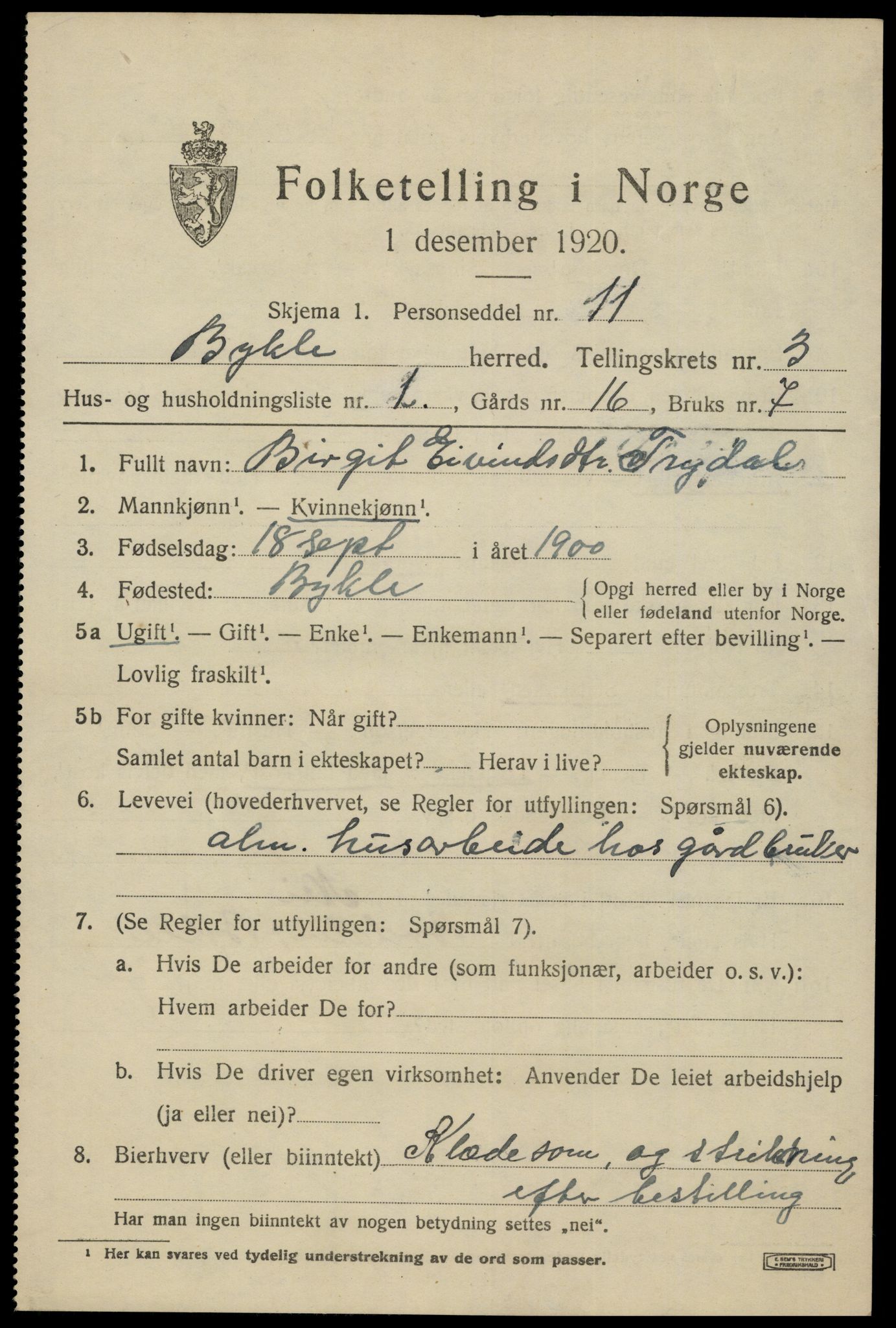 SAK, Folketelling 1920 for 0941 Bykle herred, 1920, s. 1043