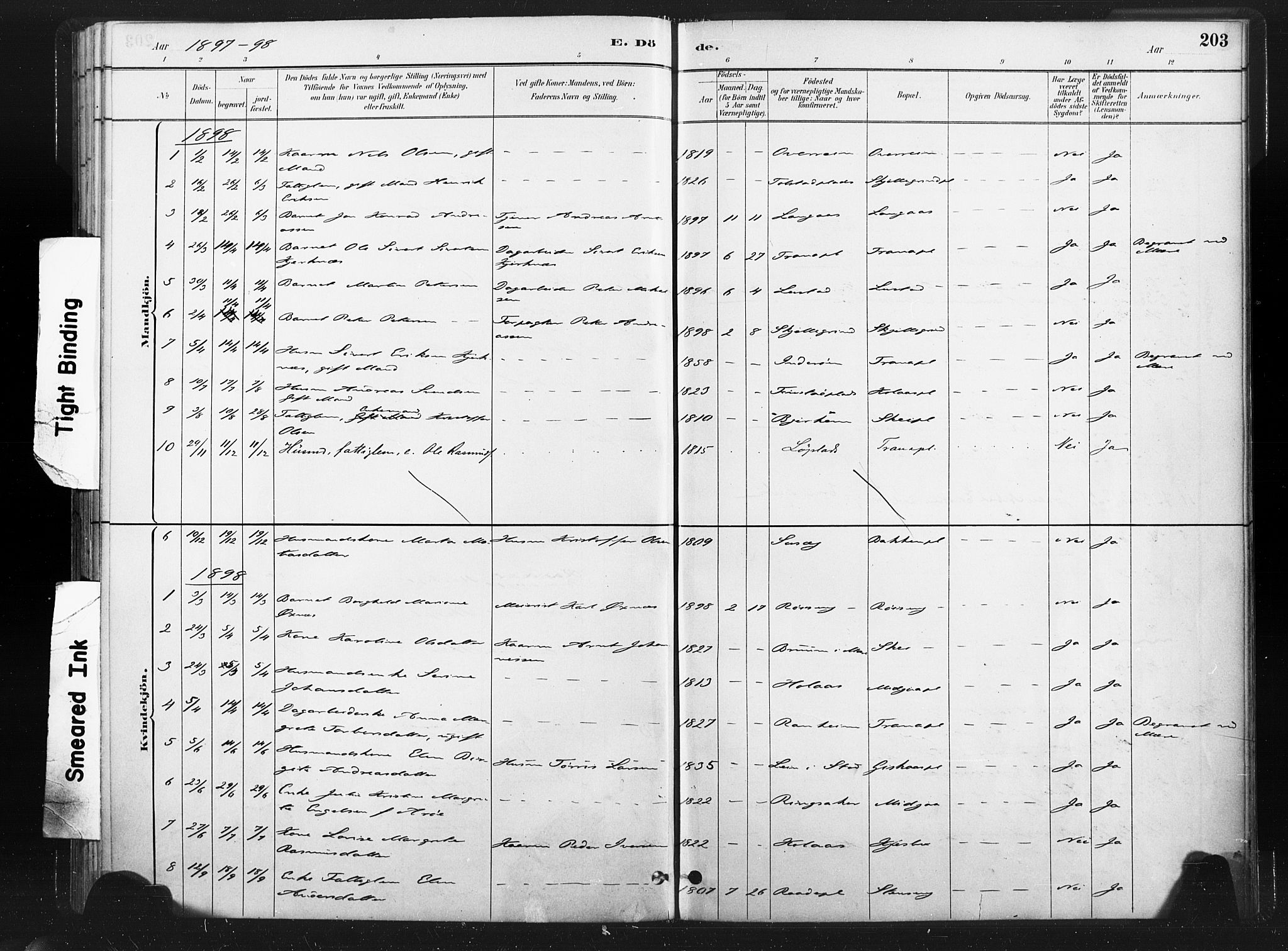 Ministerialprotokoller, klokkerbøker og fødselsregistre - Nord-Trøndelag, SAT/A-1458/736/L0361: Ministerialbok nr. 736A01, 1884-1906, s. 203