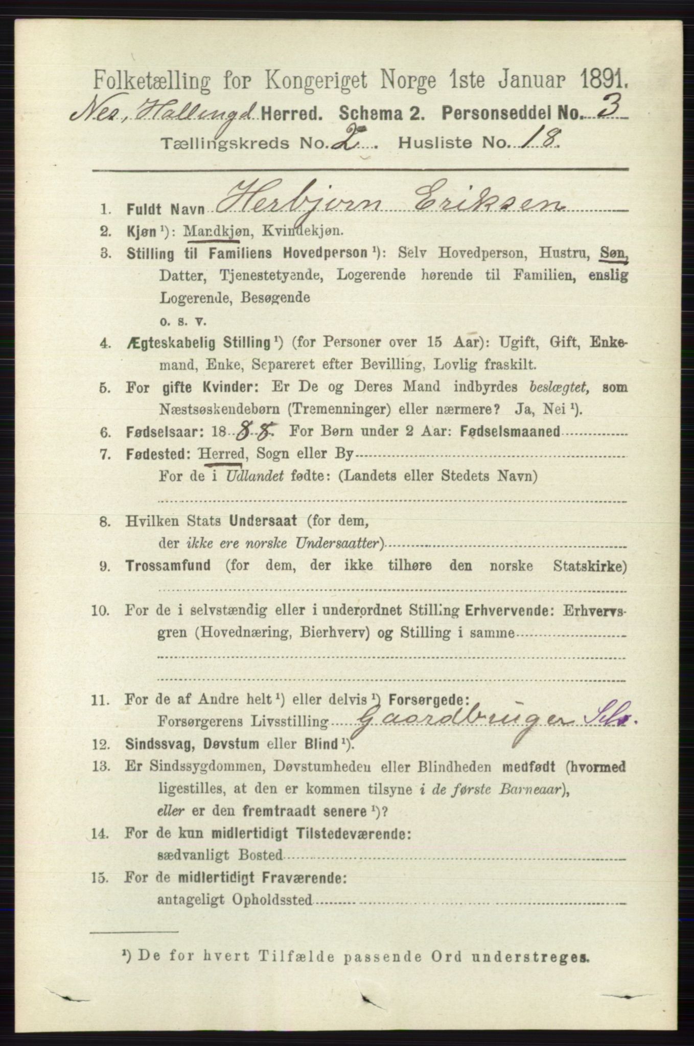 RA, Folketelling 1891 for 0616 Nes herred, 1891, s. 1079