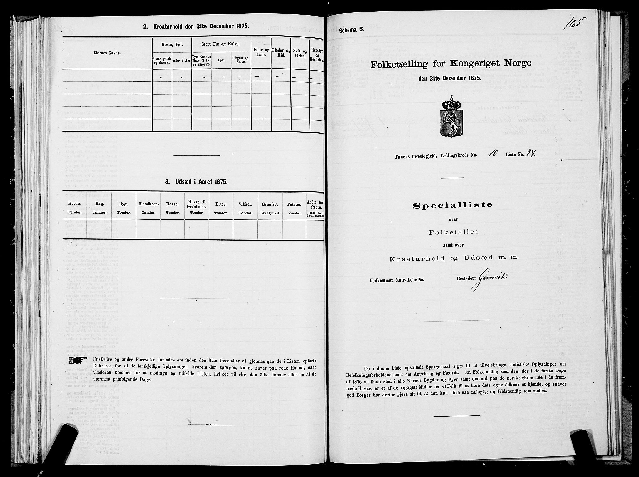 SATØ, Folketelling 1875 for 2025P Tana prestegjeld, 1875, s. 3165