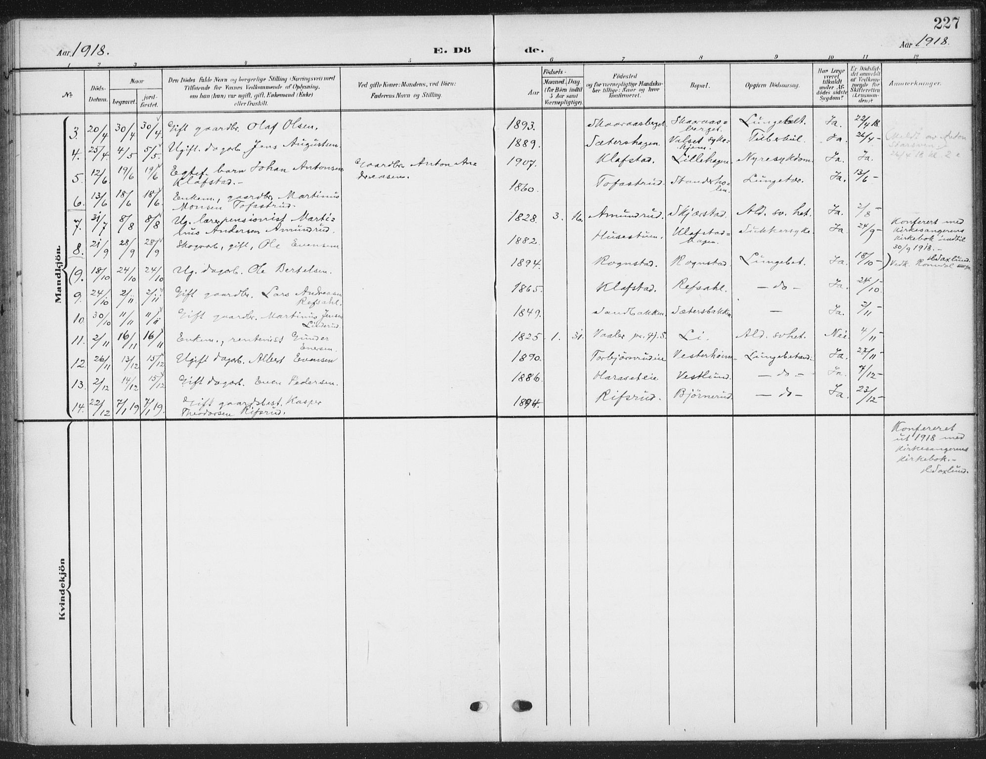 Romedal prestekontor, AV/SAH-PREST-004/K/L0009: Ministerialbok nr. 9, 1906-1929, s. 227