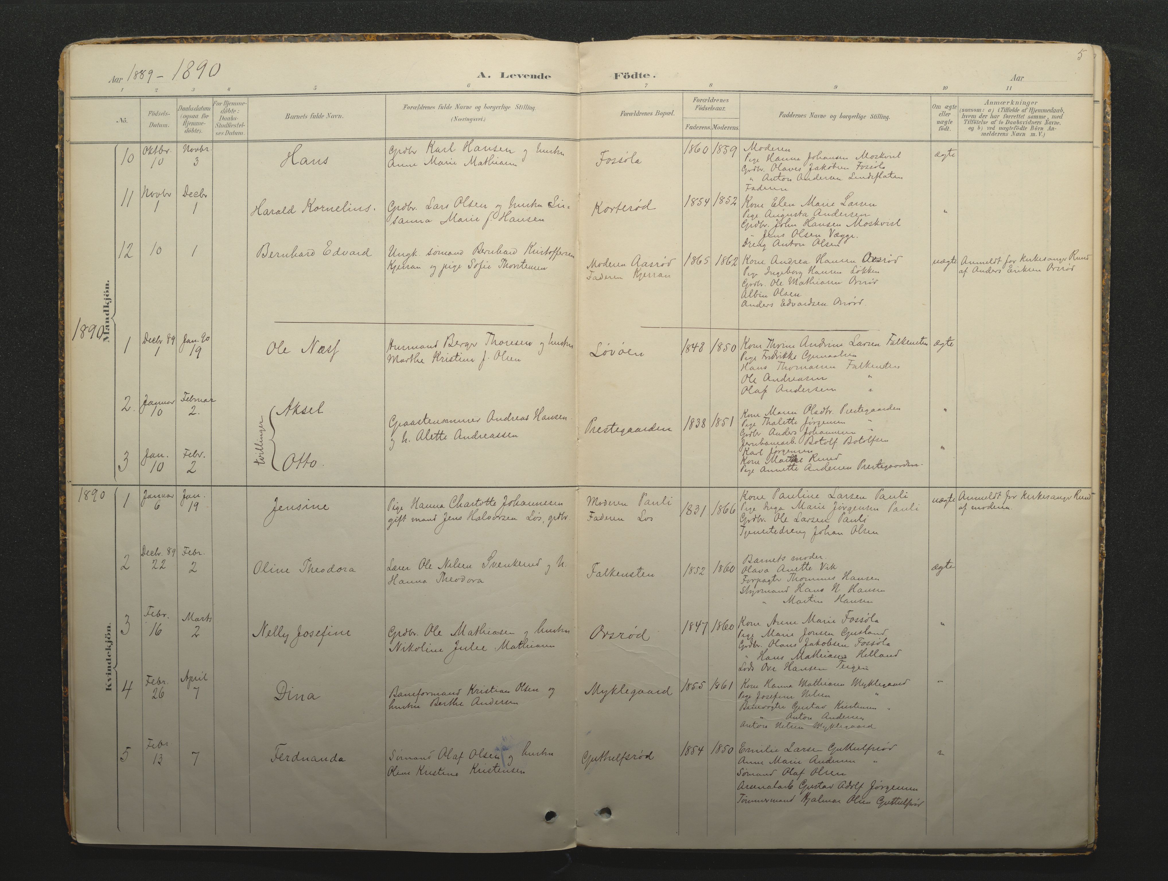 Borre kirkebøker, AV/SAKO-A-338/F/Fc/L0002: Ministerialbok nr. III 2, 1888-1896, s. 5