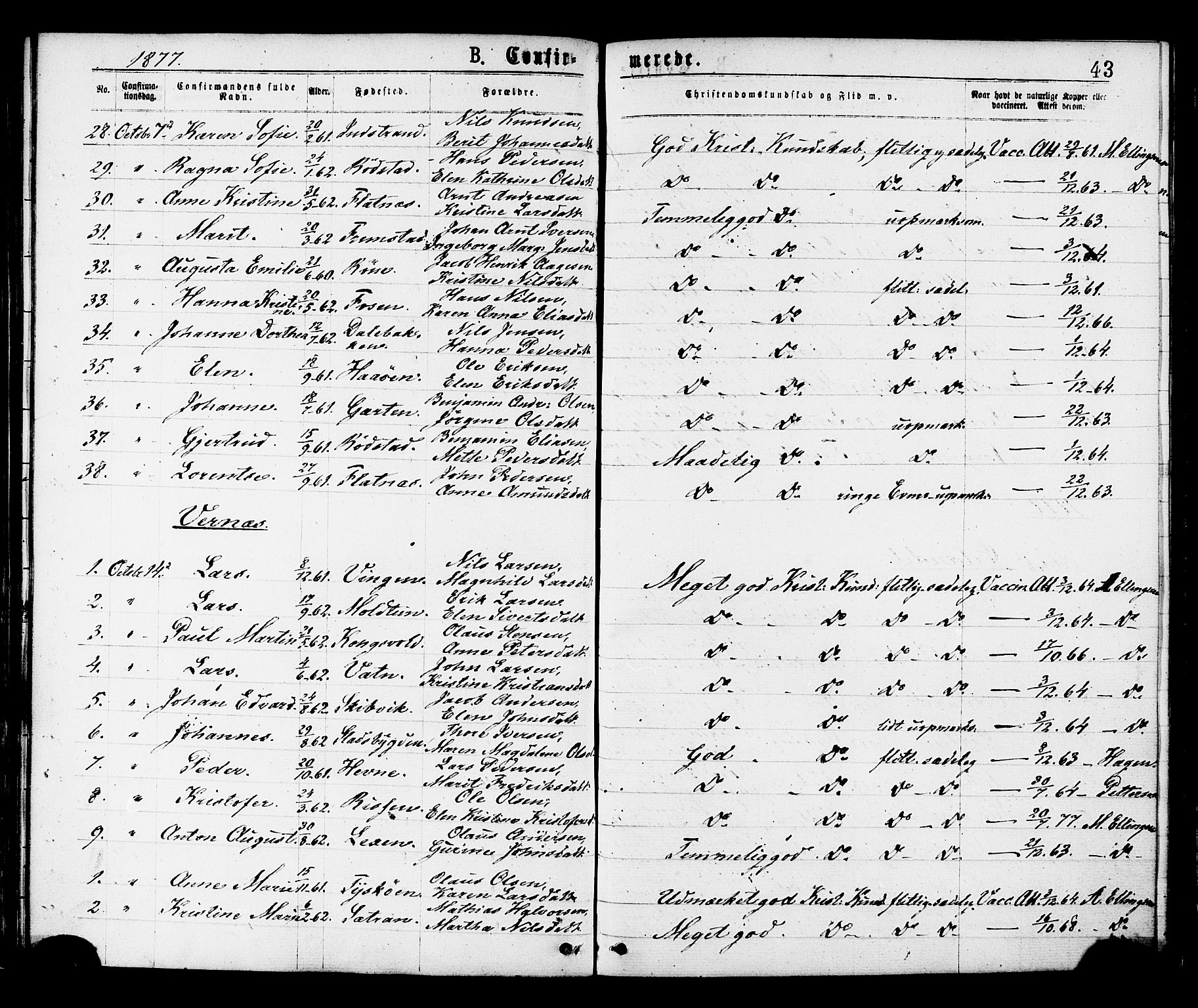 Ministerialprotokoller, klokkerbøker og fødselsregistre - Sør-Trøndelag, AV/SAT-A-1456/659/L0738: Ministerialbok nr. 659A08, 1876-1878, s. 43