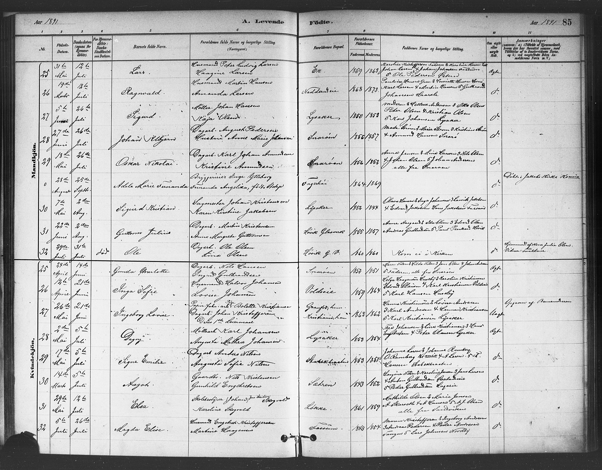 Asker prestekontor Kirkebøker, AV/SAO-A-10256a/F/Fc/L0001: Ministerialbok nr. III 1, 1879-1892, s. 85