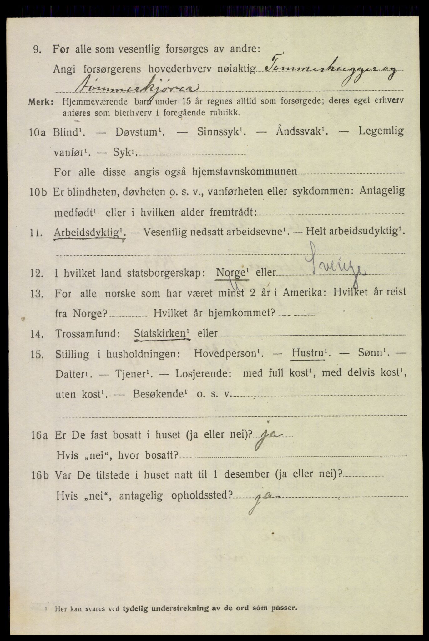 SAH, Folketelling 1920 for 0428 Trysil herred, 1920, s. 4342