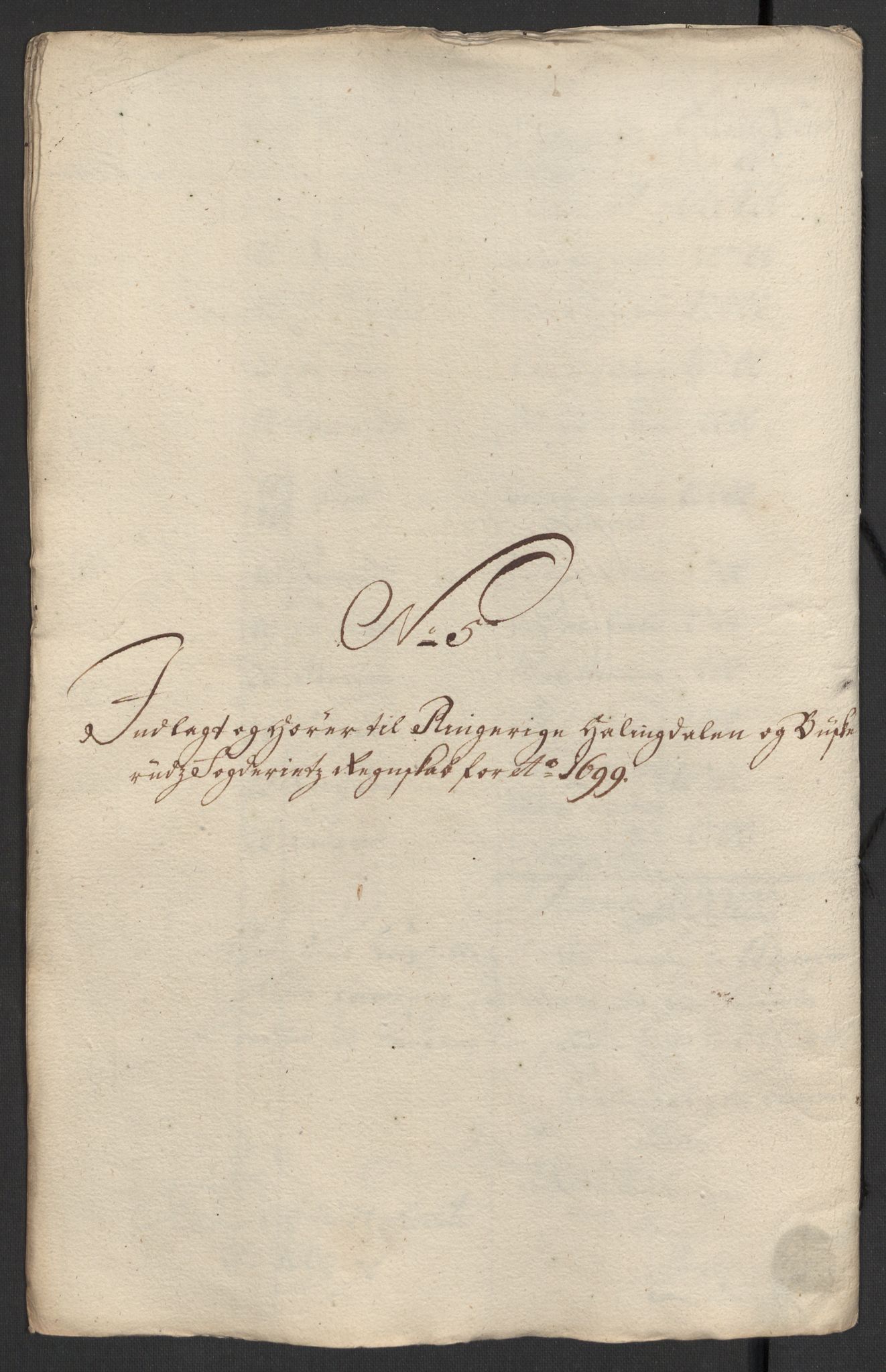 Rentekammeret inntil 1814, Reviderte regnskaper, Fogderegnskap, RA/EA-4092/R22/L1456: Fogderegnskap Ringerike, Hallingdal og Buskerud, 1699, s. 282