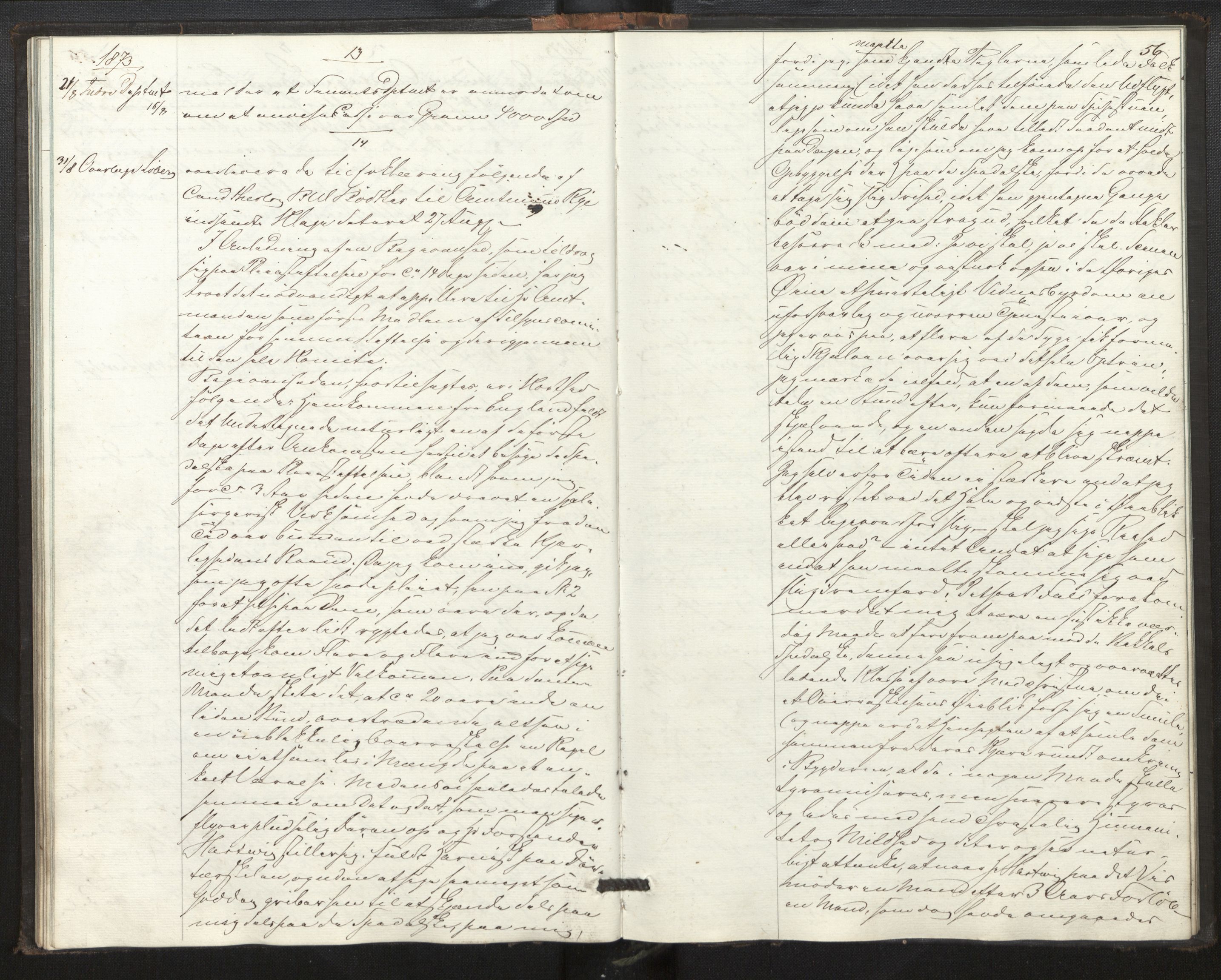 Lepraarkiver - Pleiestiftelsen for spedalske no.1, AV/SAB-A-60601/B.c/L0001: Journal, 1857-1882, s. 55b-56a