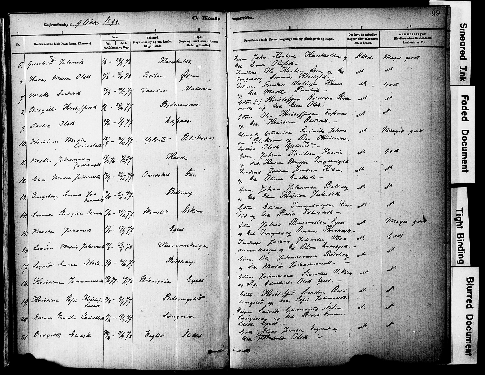 Ministerialprotokoller, klokkerbøker og fødselsregistre - Sør-Trøndelag, SAT/A-1456/646/L0615: Ministerialbok nr. 646A13, 1885-1900, s. 99