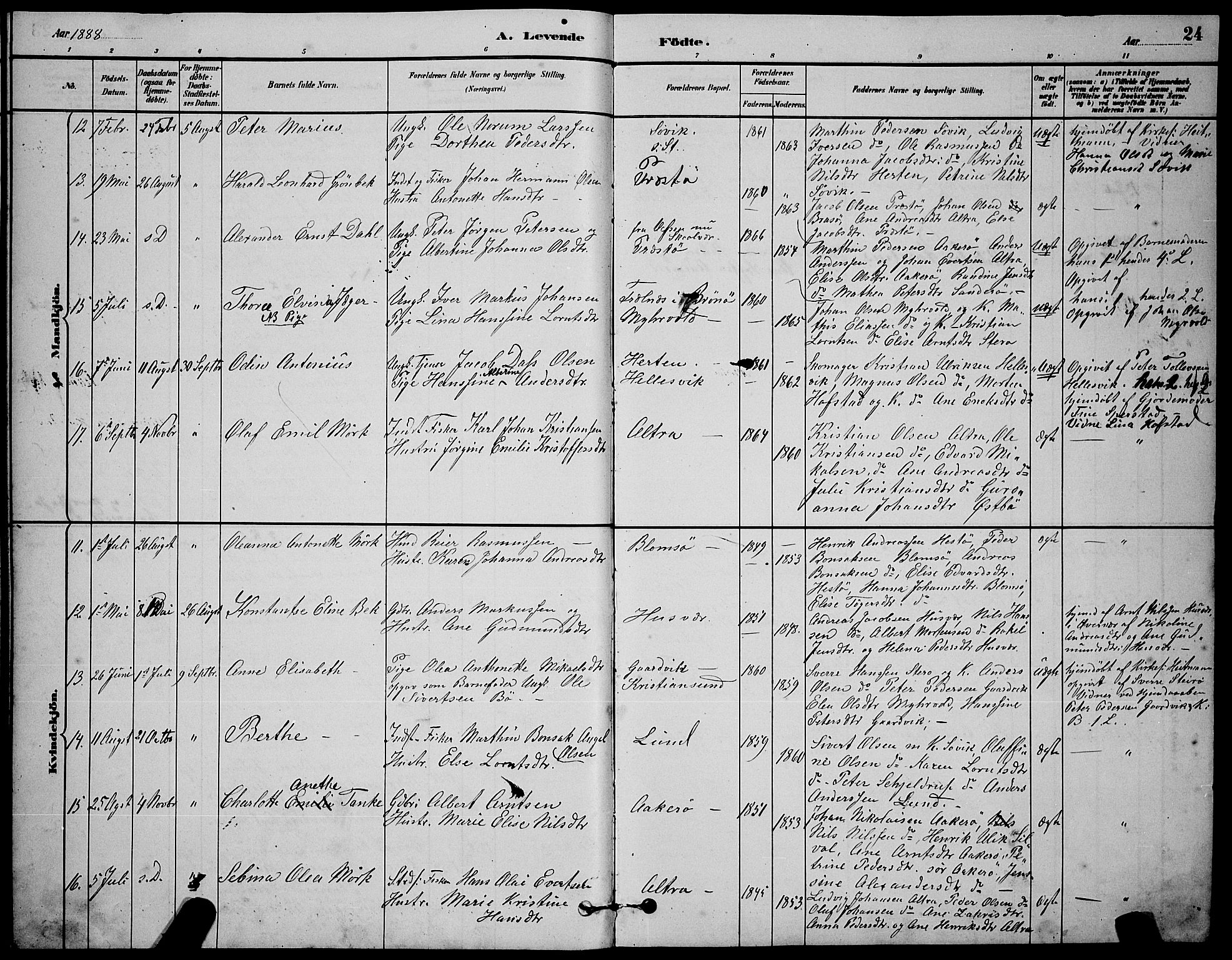 Ministerialprotokoller, klokkerbøker og fødselsregistre - Nordland, AV/SAT-A-1459/830/L0462: Klokkerbok nr. 830C04, 1882-1895, s. 24