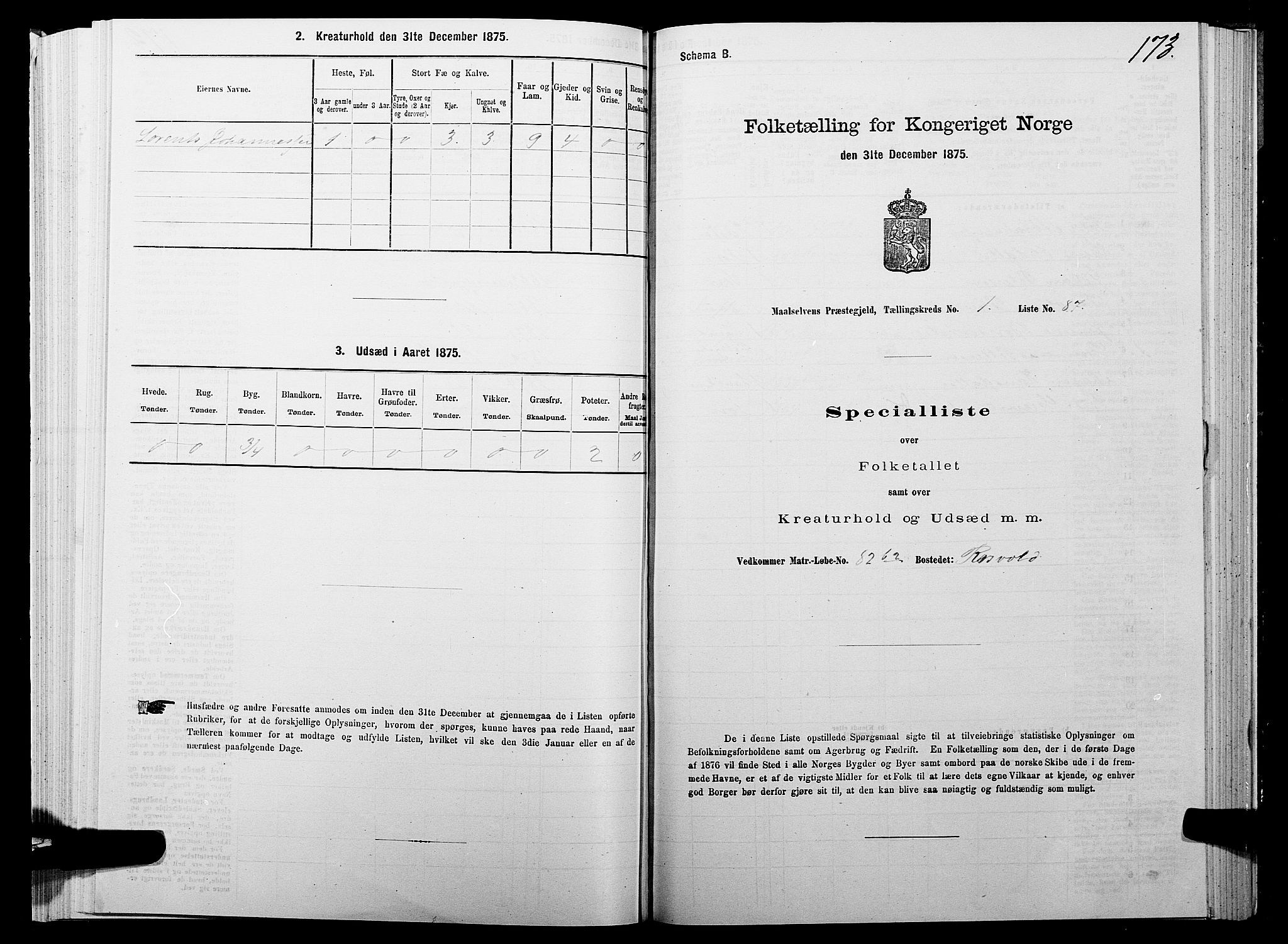 SATØ, Folketelling 1875 for 1924P Målselv prestegjeld, 1875, s. 1173