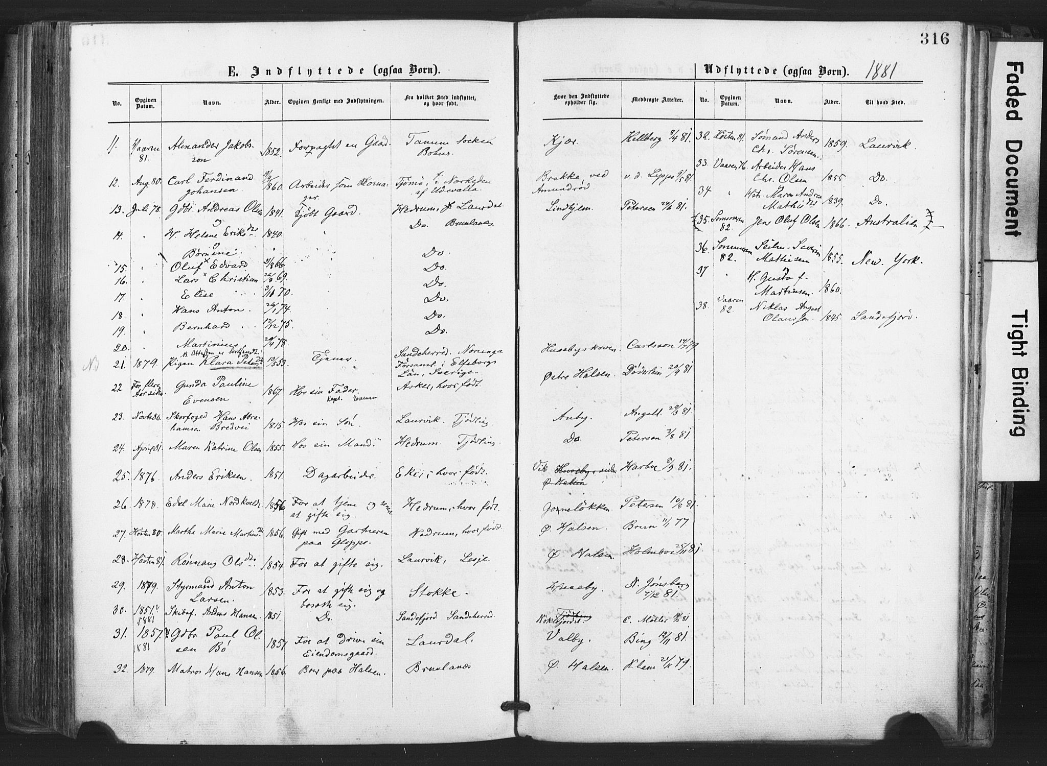 Tjølling kirkebøker, AV/SAKO-A-60/F/Fa/L0008: Ministerialbok nr. 8, 1877-1886, s. 316