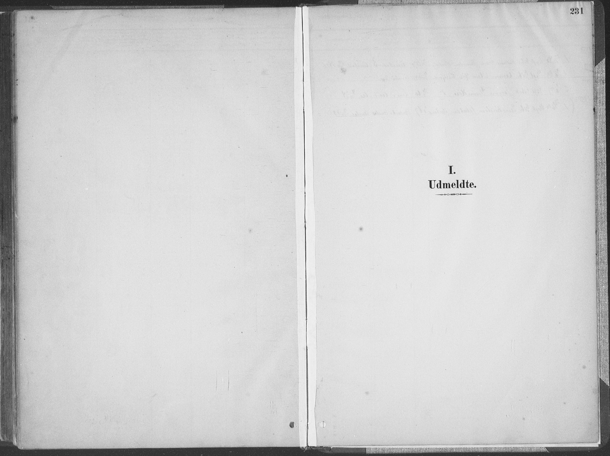 Lyngdal sokneprestkontor, SAK/1111-0029/F/Fa/Faa/L0004: Ministerialbok nr. A 4, 1883-1904, s. 231