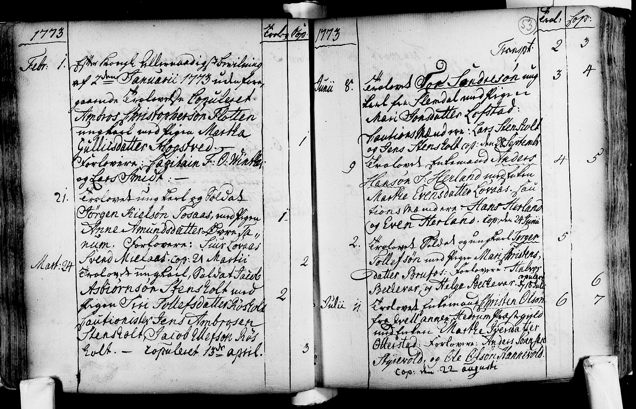 Lardal kirkebøker, SAKO/A-350/F/Fa/L0004: Ministerialbok nr. i 4, 1733-1815, s. 53