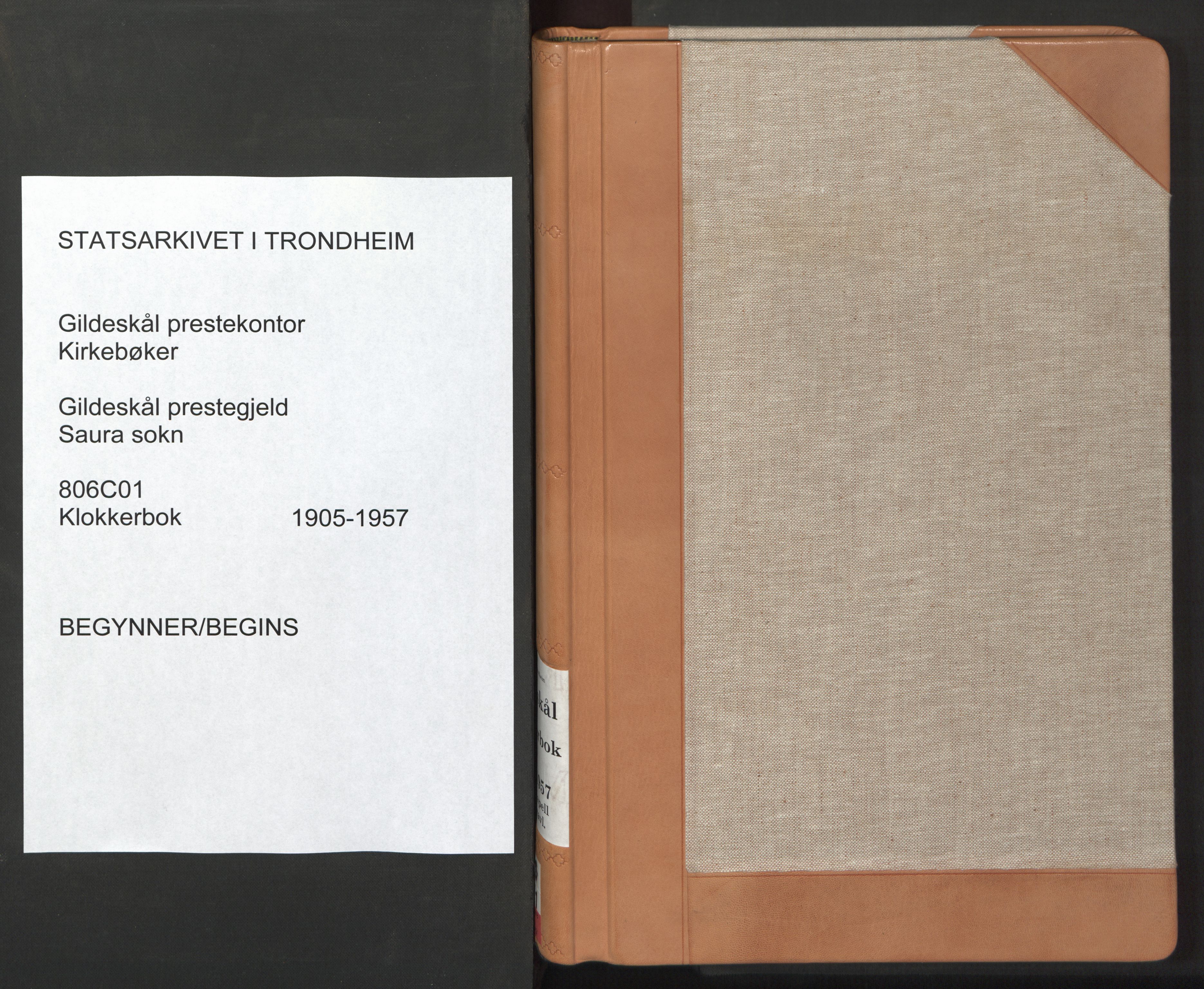 Ministerialprotokoller, klokkerbøker og fødselsregistre - Nordland, SAT/A-1459/806/L0117: Klokkerbok nr. 806C01, 1905-1957