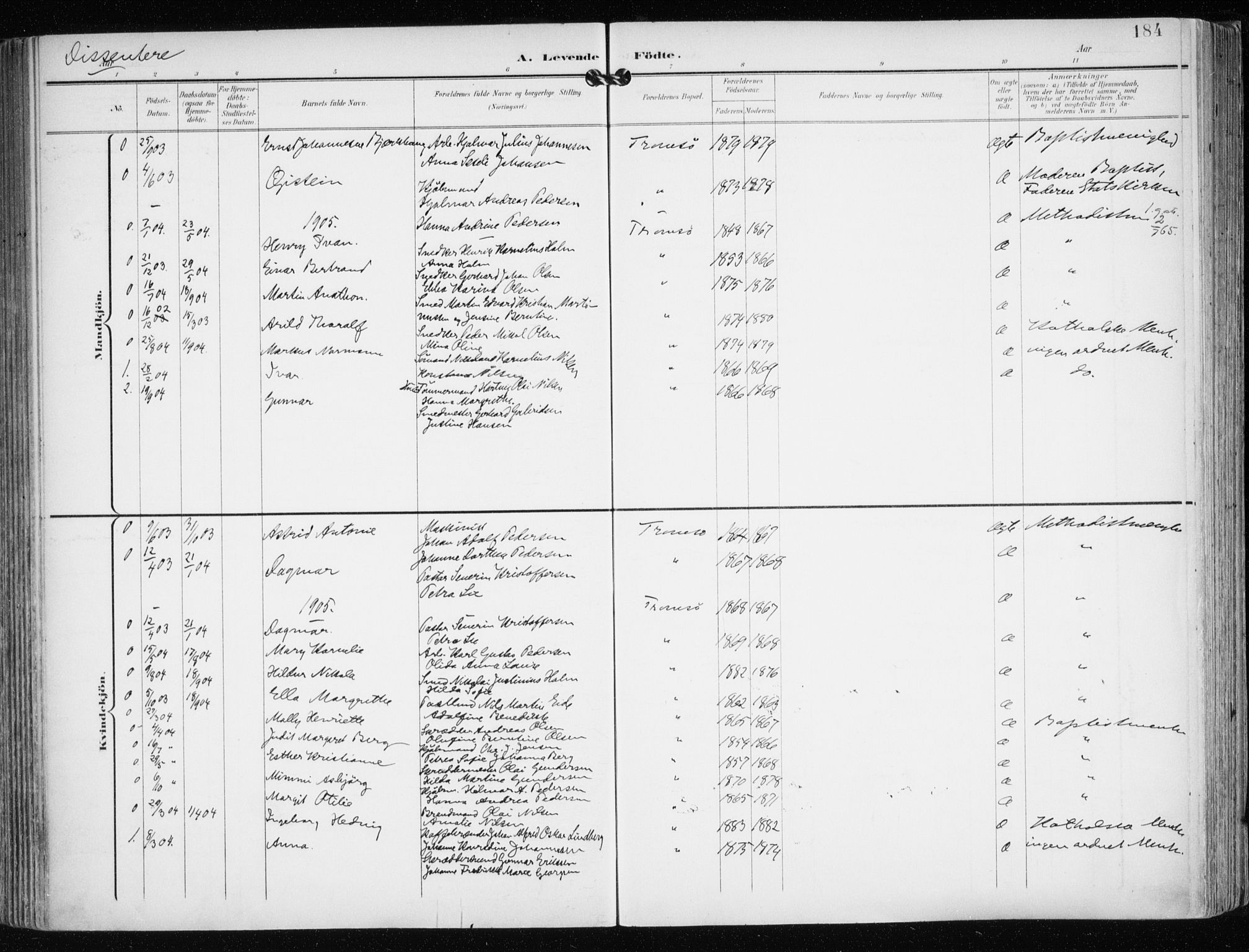 Tromsø sokneprestkontor/stiftsprosti/domprosti, AV/SATØ-S-1343/G/Ga/L0016kirke: Ministerialbok nr. 16, 1899-1906, s. 184