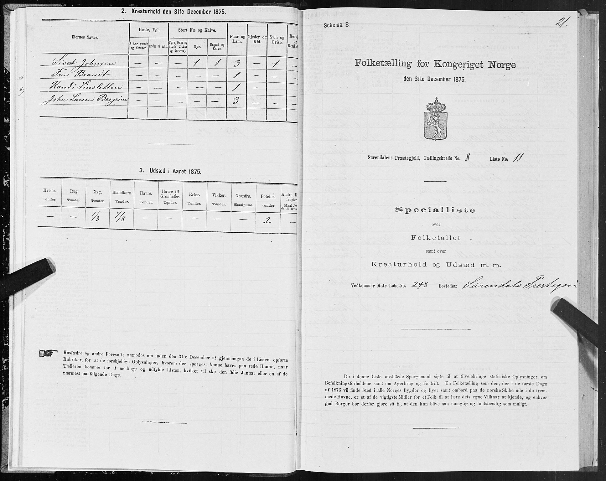 SAT, Folketelling 1875 for 1566P Surnadal prestegjeld, 1875, s. 4021