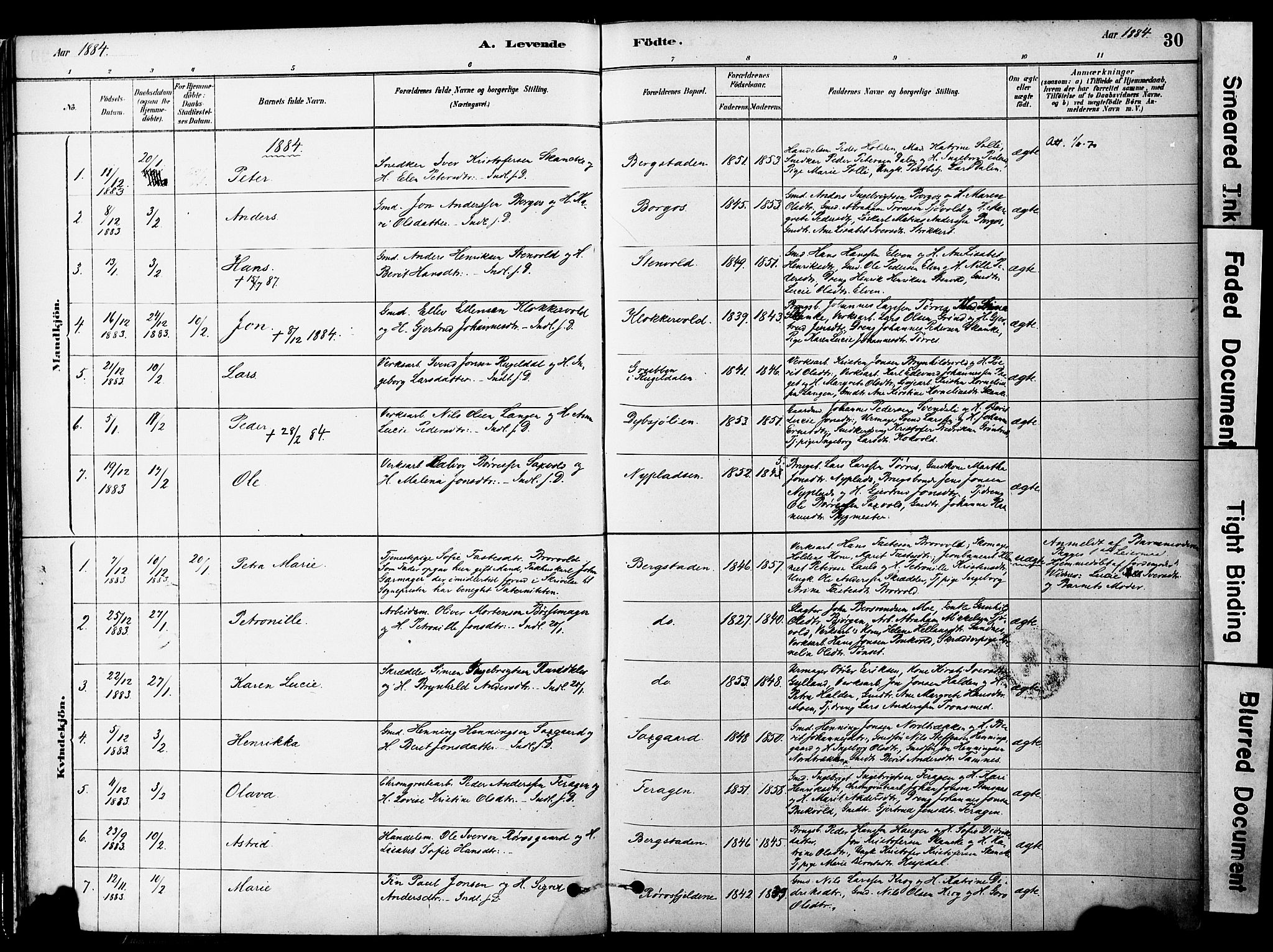 Ministerialprotokoller, klokkerbøker og fødselsregistre - Sør-Trøndelag, SAT/A-1456/681/L0933: Ministerialbok nr. 681A11, 1879-1890, s. 30