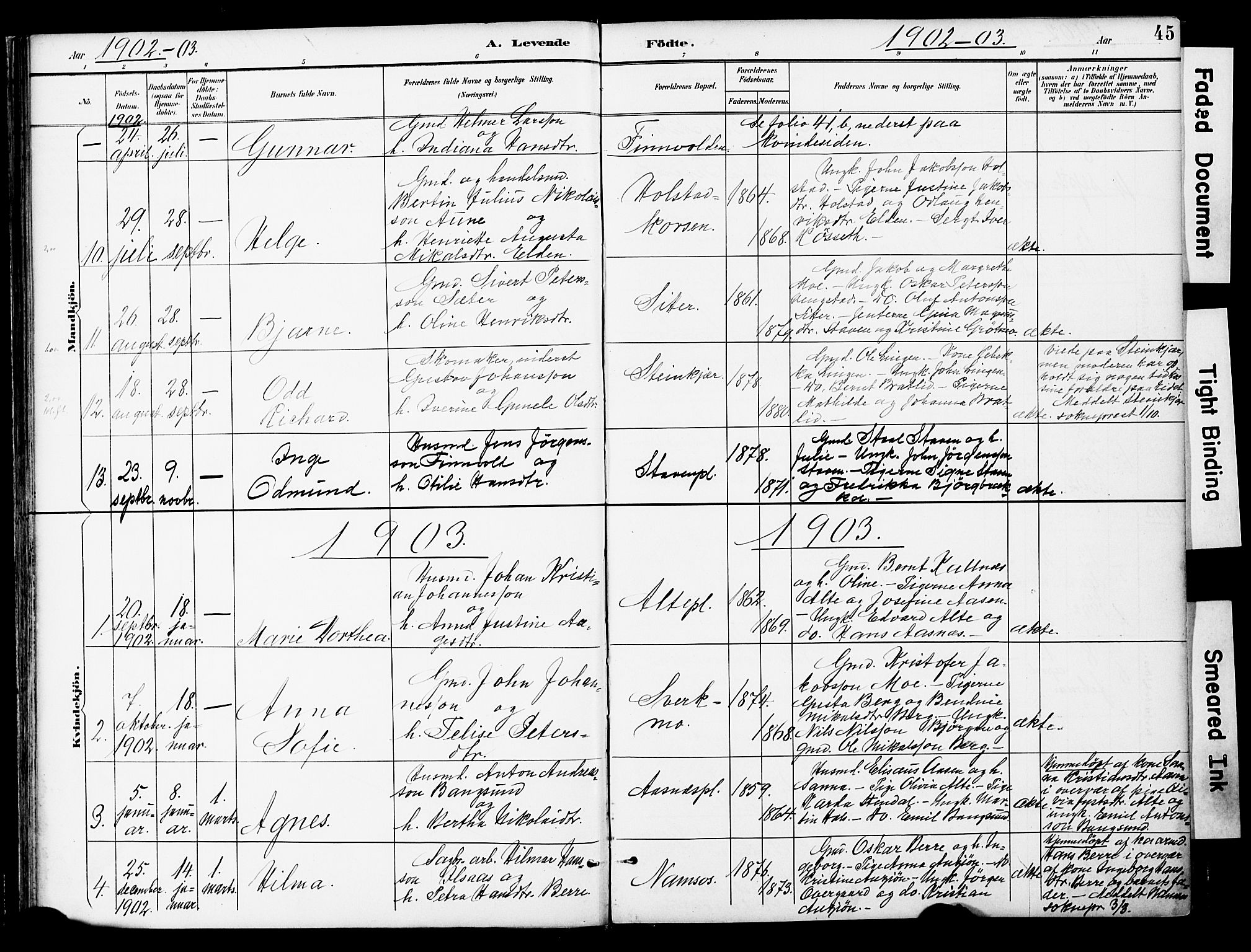Ministerialprotokoller, klokkerbøker og fødselsregistre - Nord-Trøndelag, AV/SAT-A-1458/742/L0409: Ministerialbok nr. 742A02, 1891-1905, s. 45