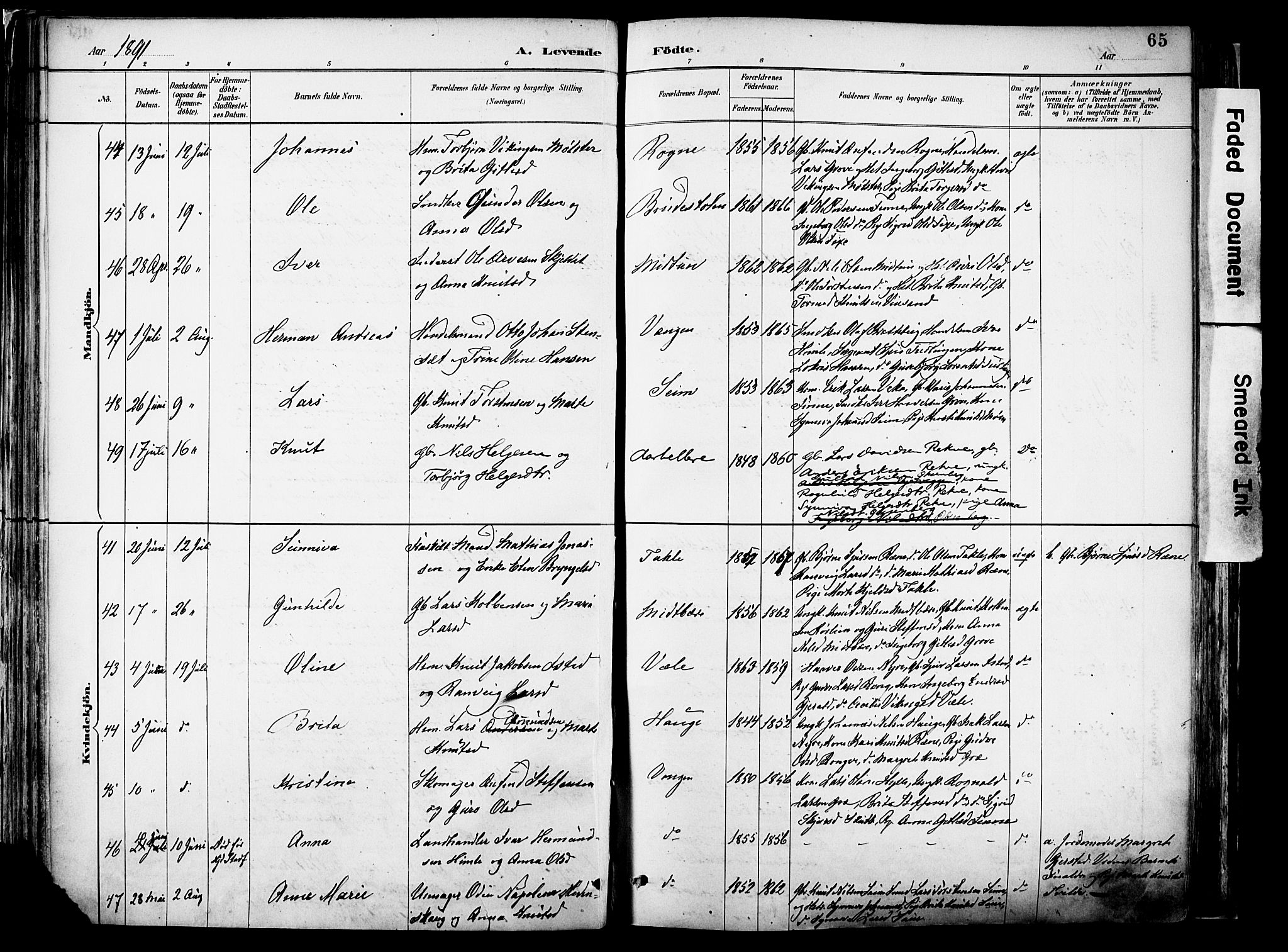 Voss sokneprestembete, AV/SAB-A-79001/H/Haa: Ministerialbok nr. A 21, 1887-1903, s. 65