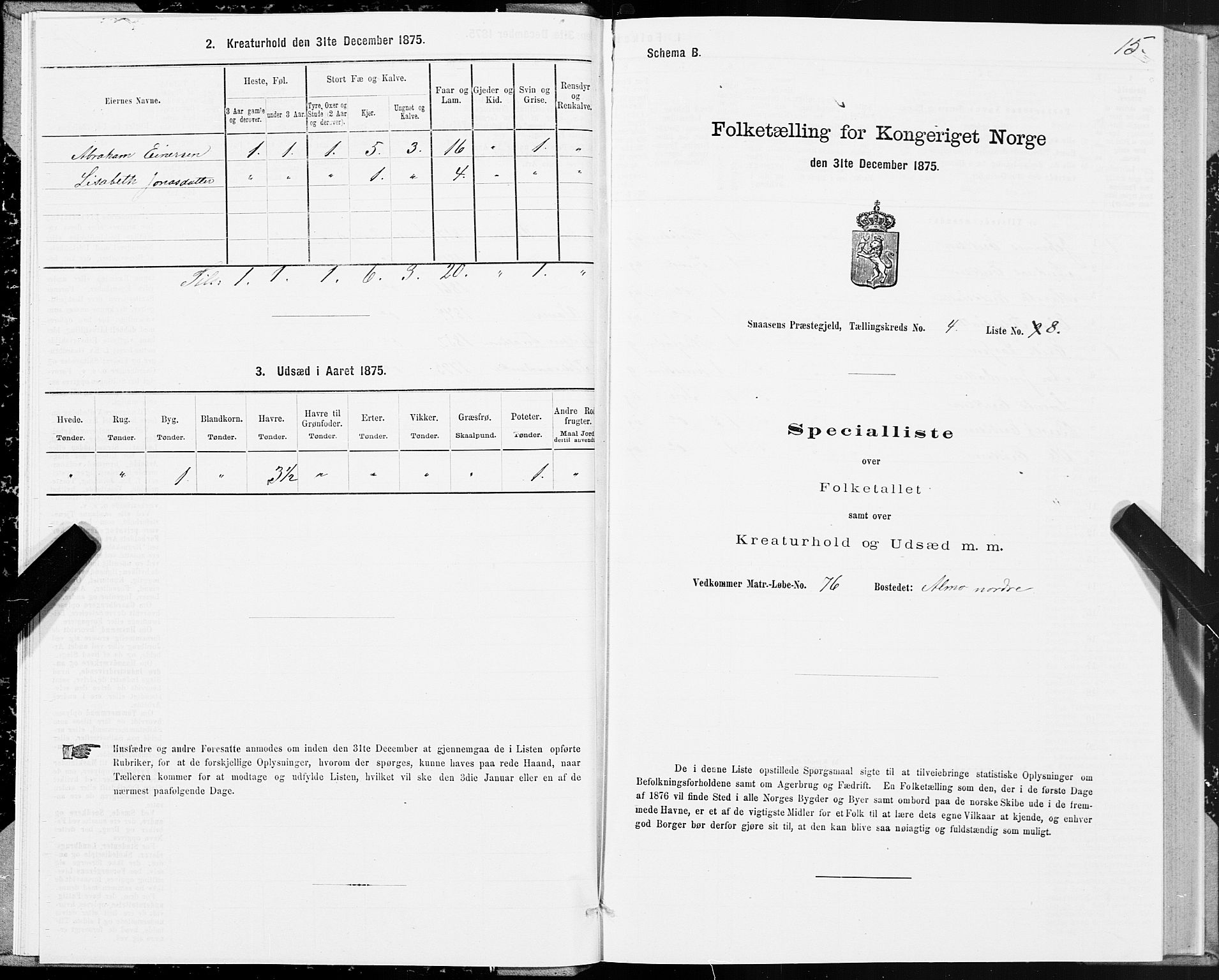 SAT, Folketelling 1875 for 1736P Snåsa prestegjeld, 1875, s. 2015