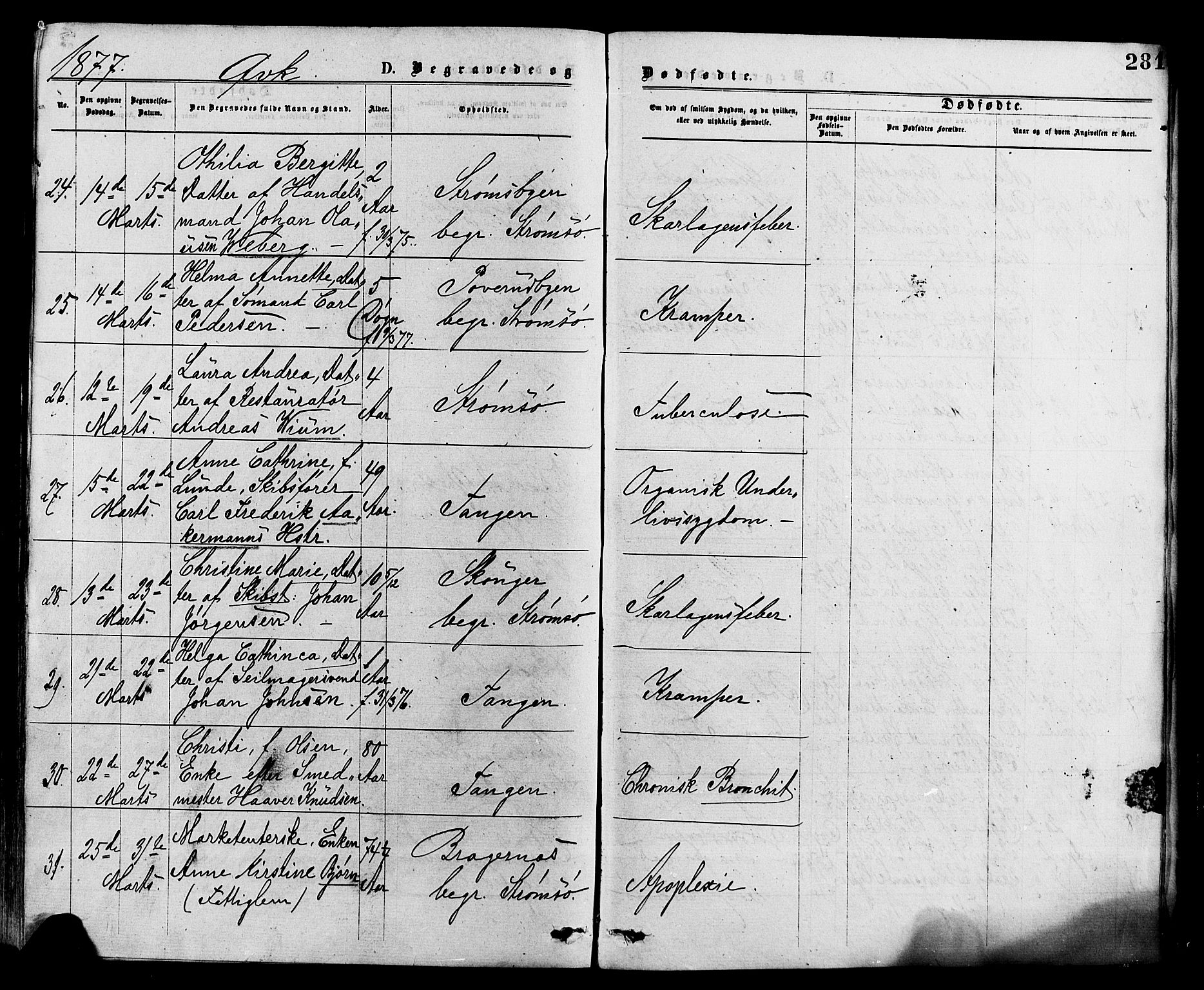 Strømsø kirkebøker, AV/SAKO-A-246/F/Fa/L0019: Ministerialbok nr. I 19, 1874-1877, s. 281
